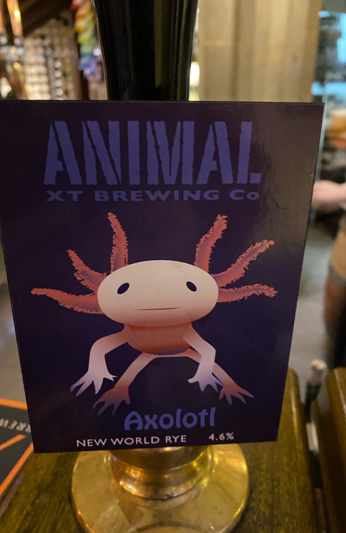 Axolotl, England