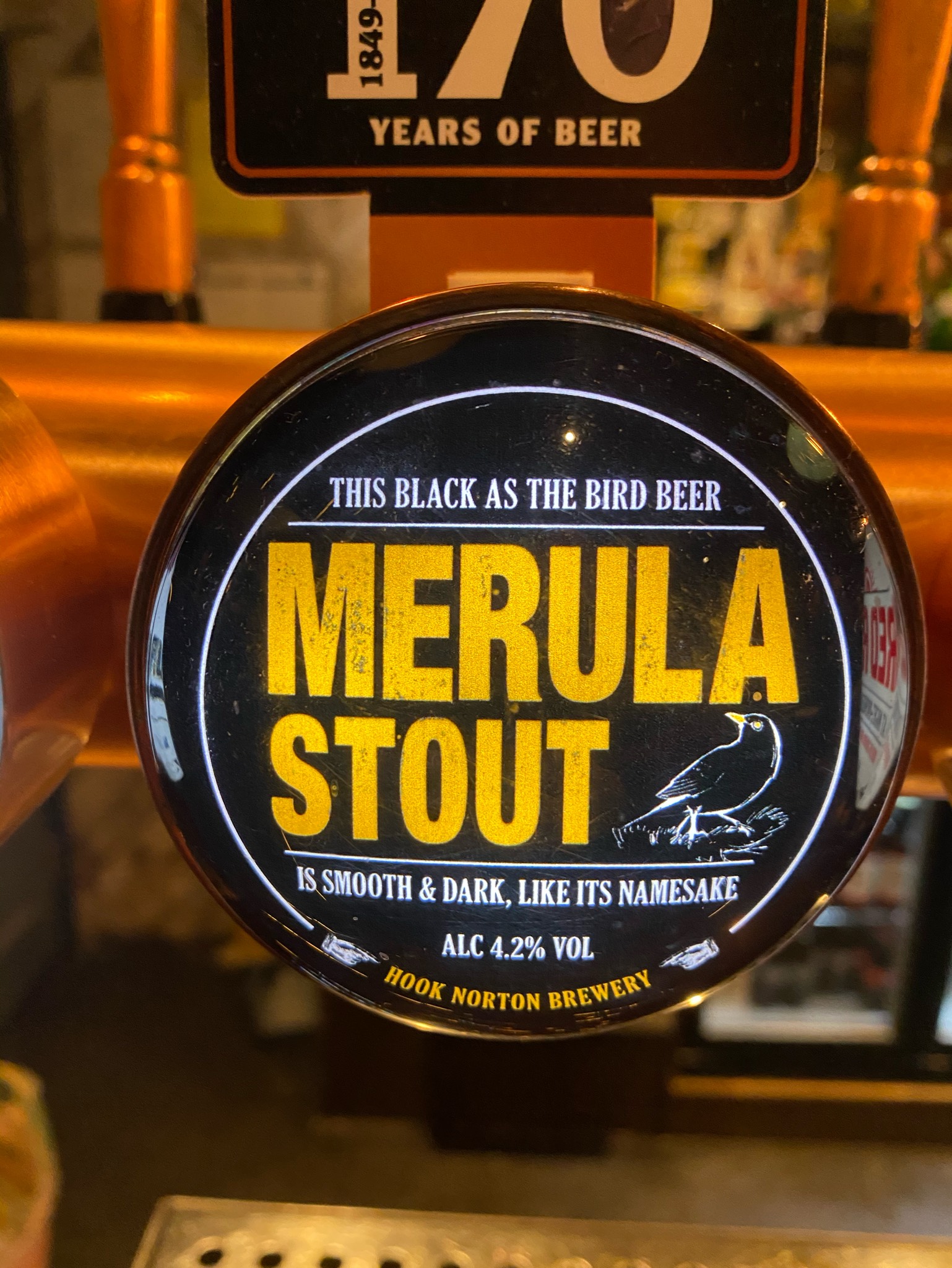 Merula Stout, England