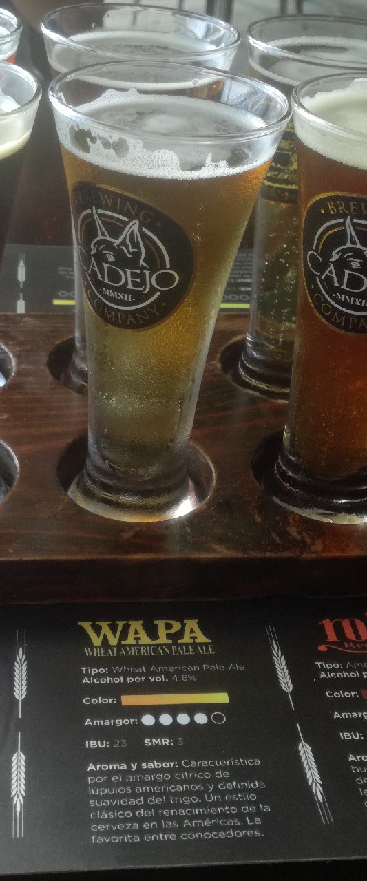 W.A.P.A., El Salvador