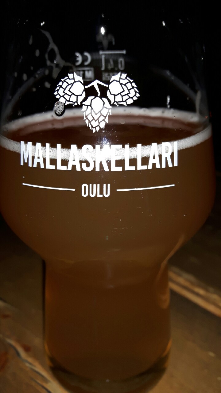 Hold My Surfboard, Finland