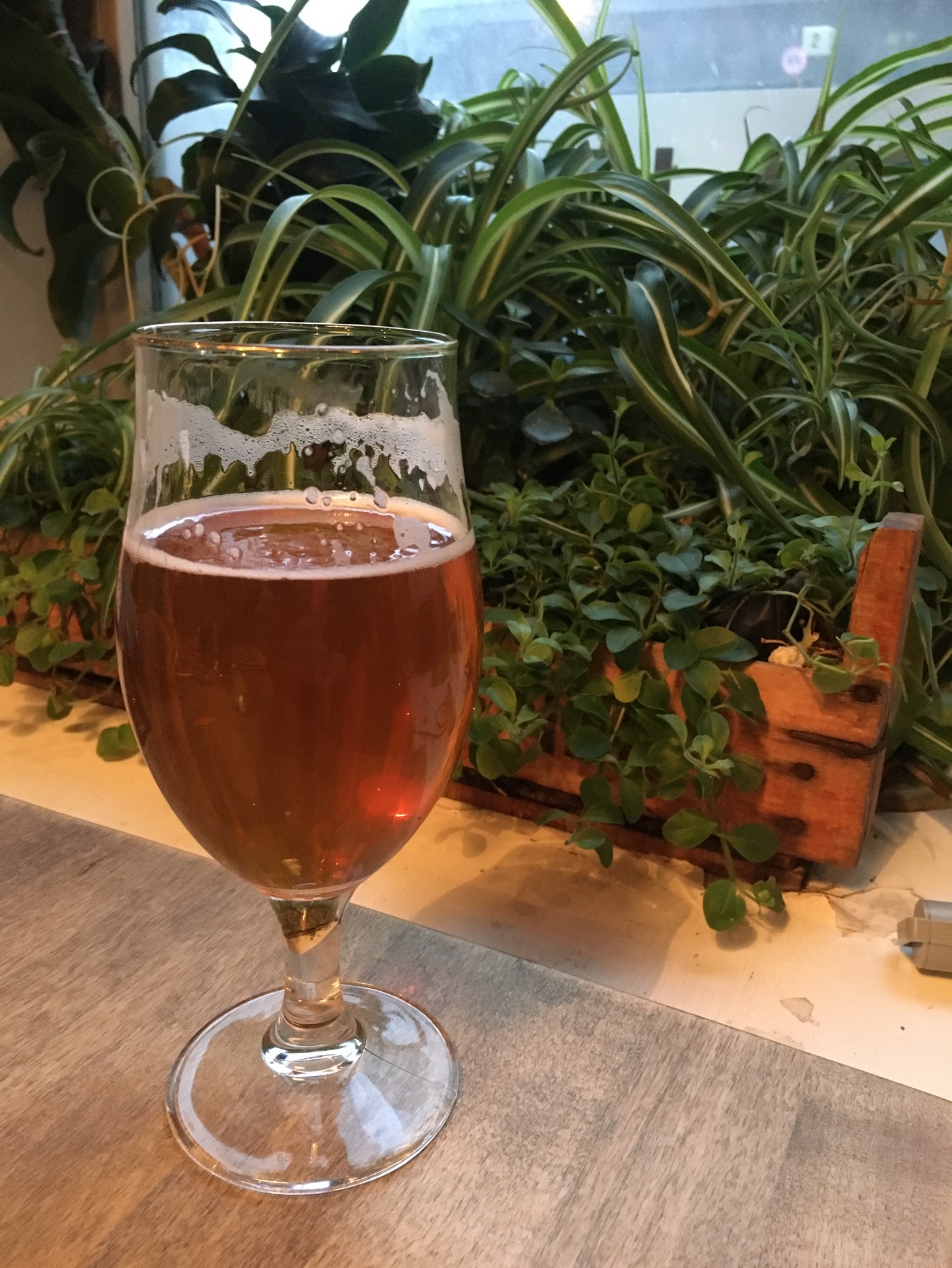 Fat Lab 02: Session NEIPA, Finland