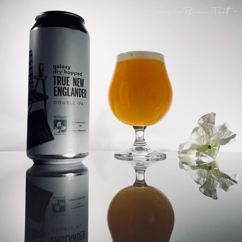 Galaxy Dry Hopped True New Englander, United States