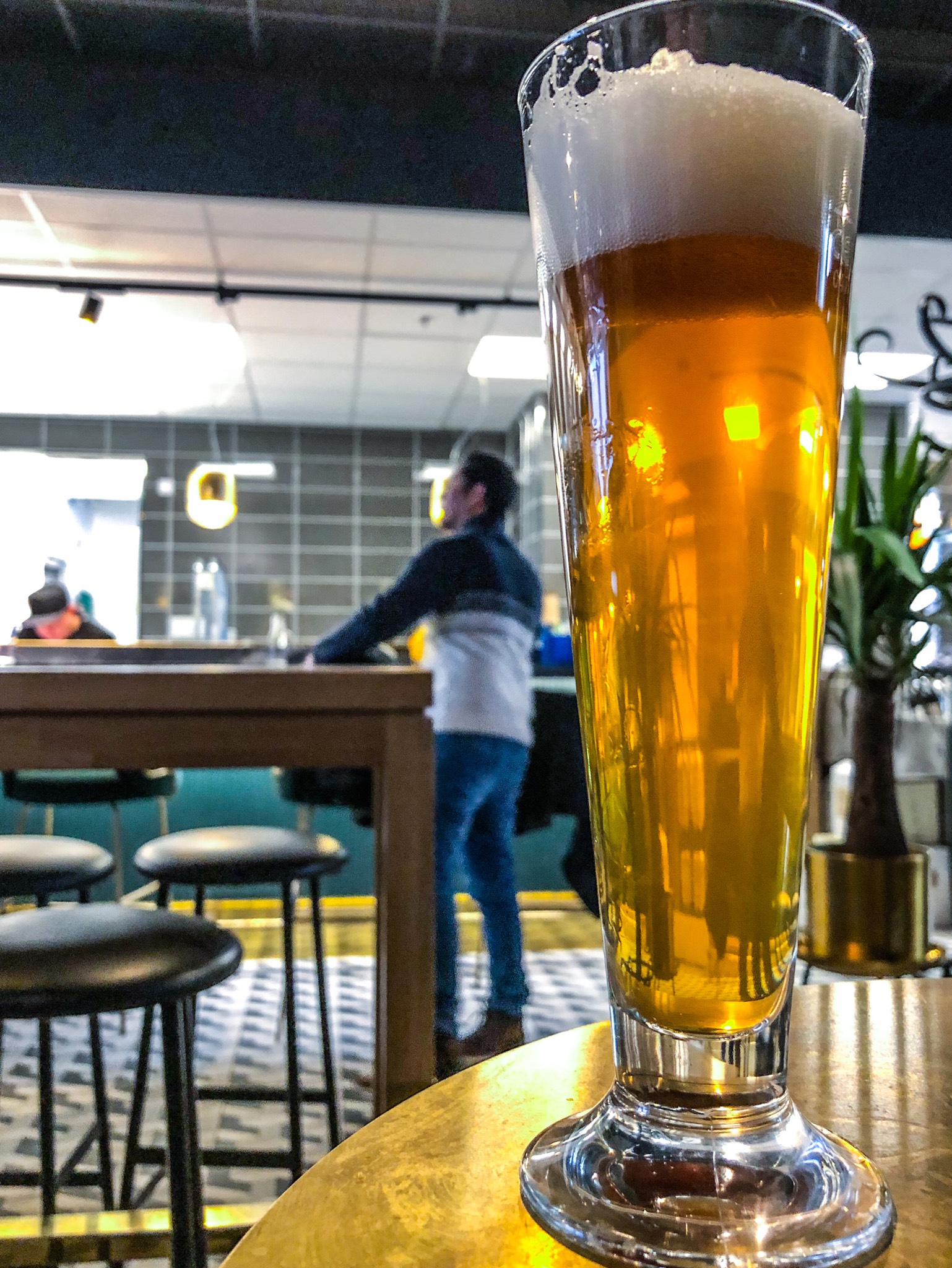 Hoplicated, United States