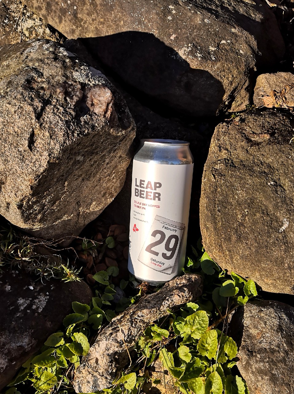 Leap Beer, United States