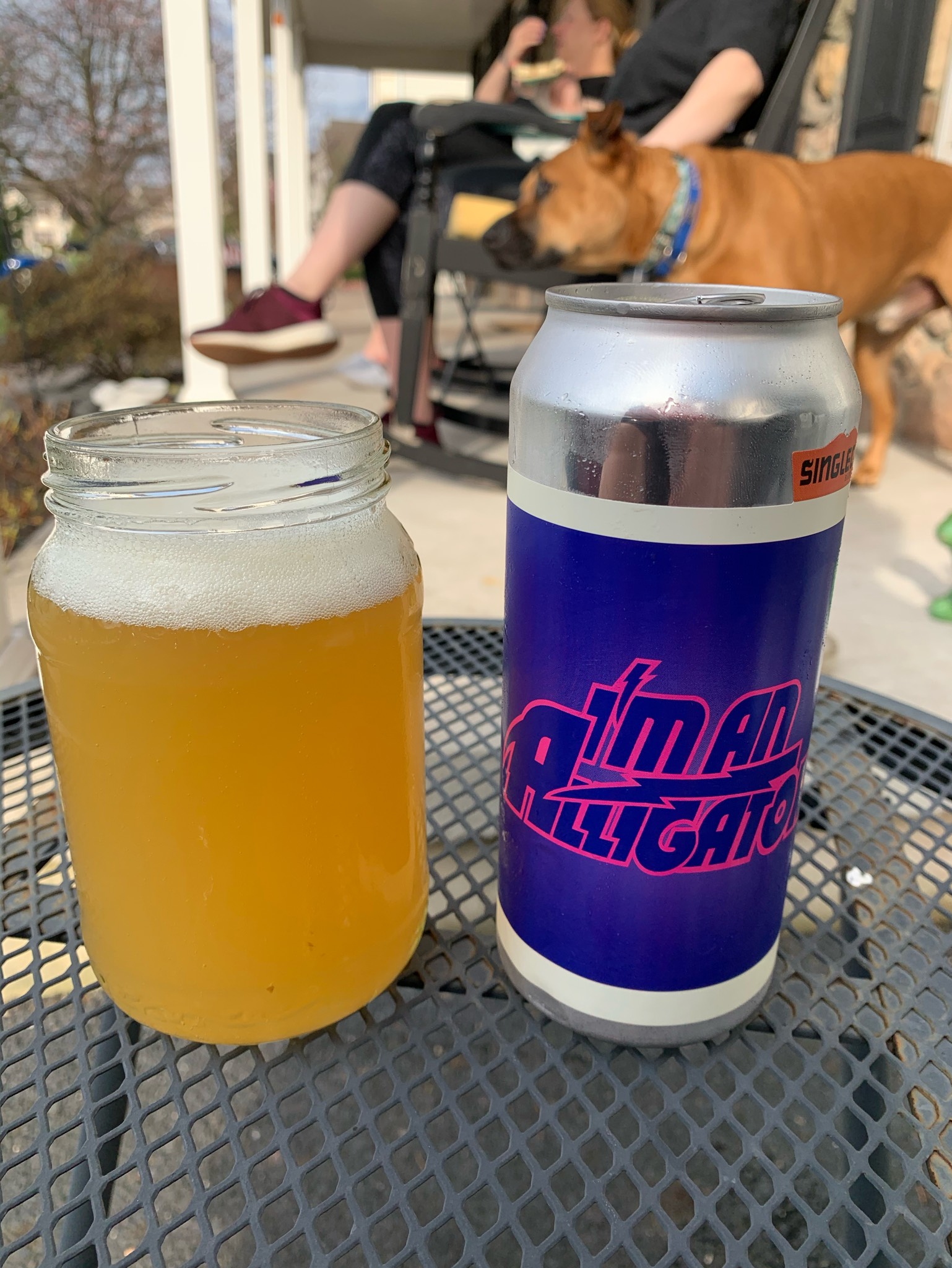 I'm An Alligator, United States