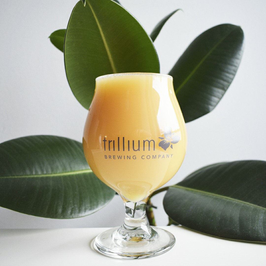 Galaxy Double Dry Hopped Cutting Tiles, United States