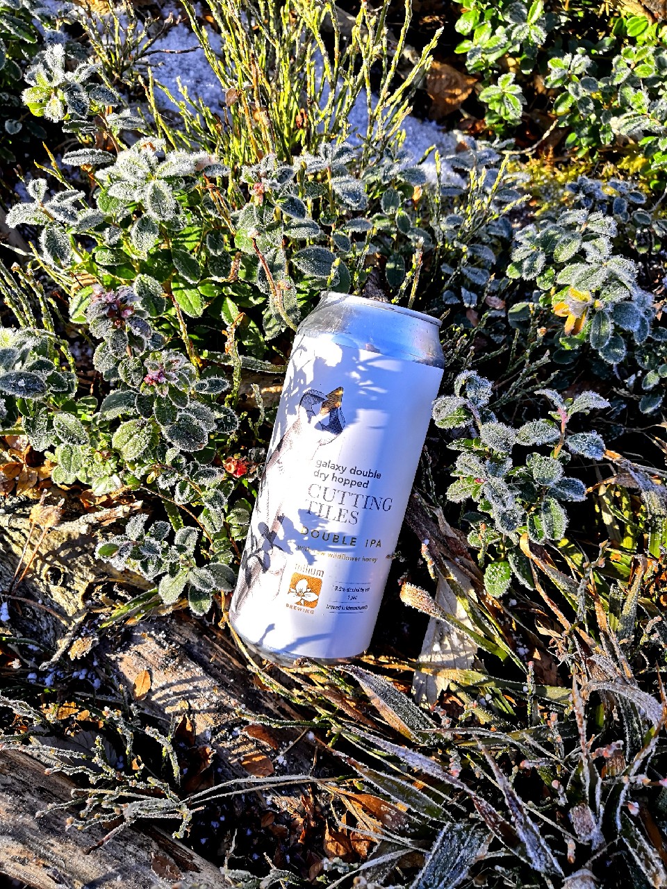 Galaxy Double Dry Hopped Cutting Tiles, United States