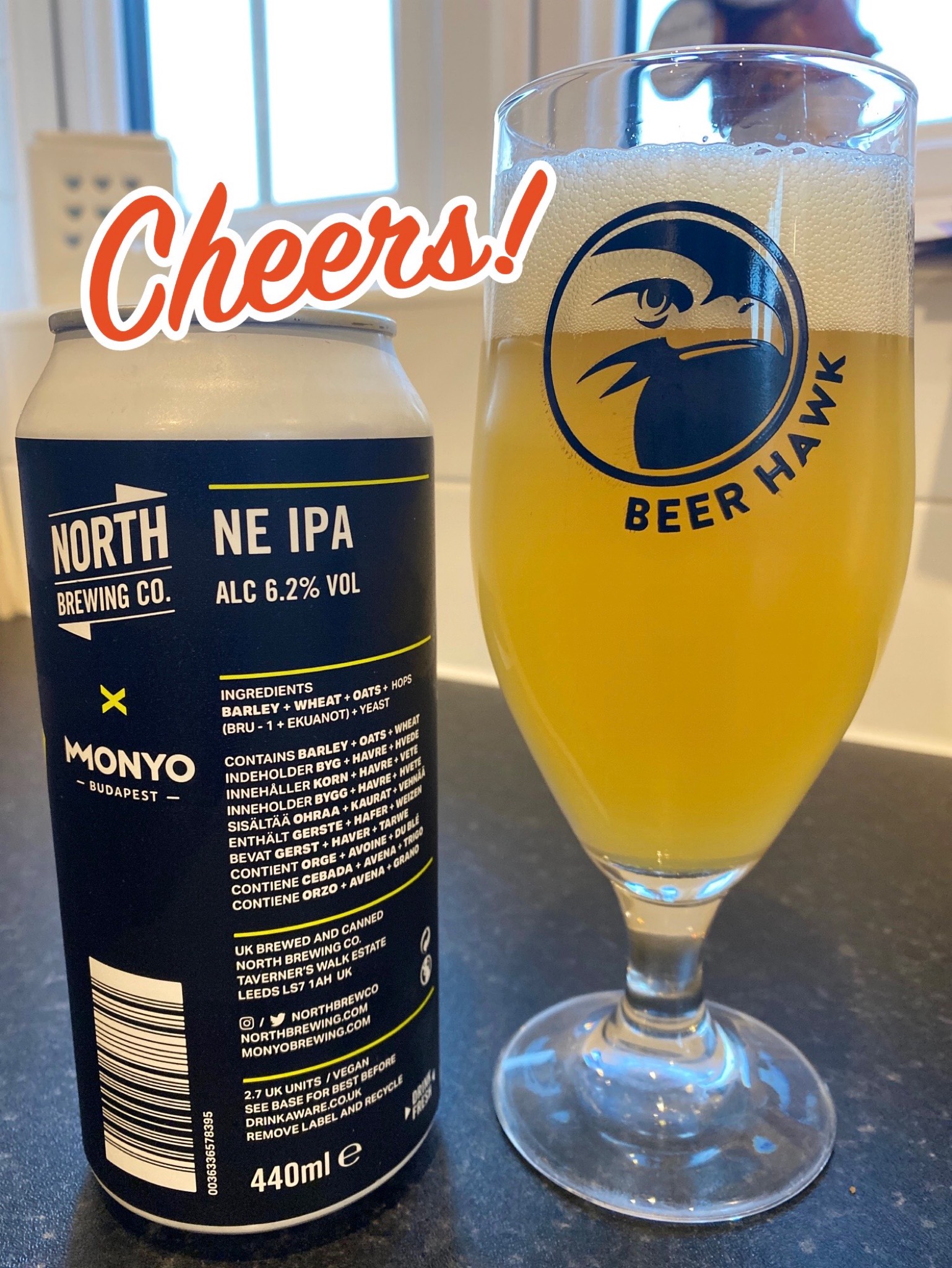 North X Monyo NEIPA, England