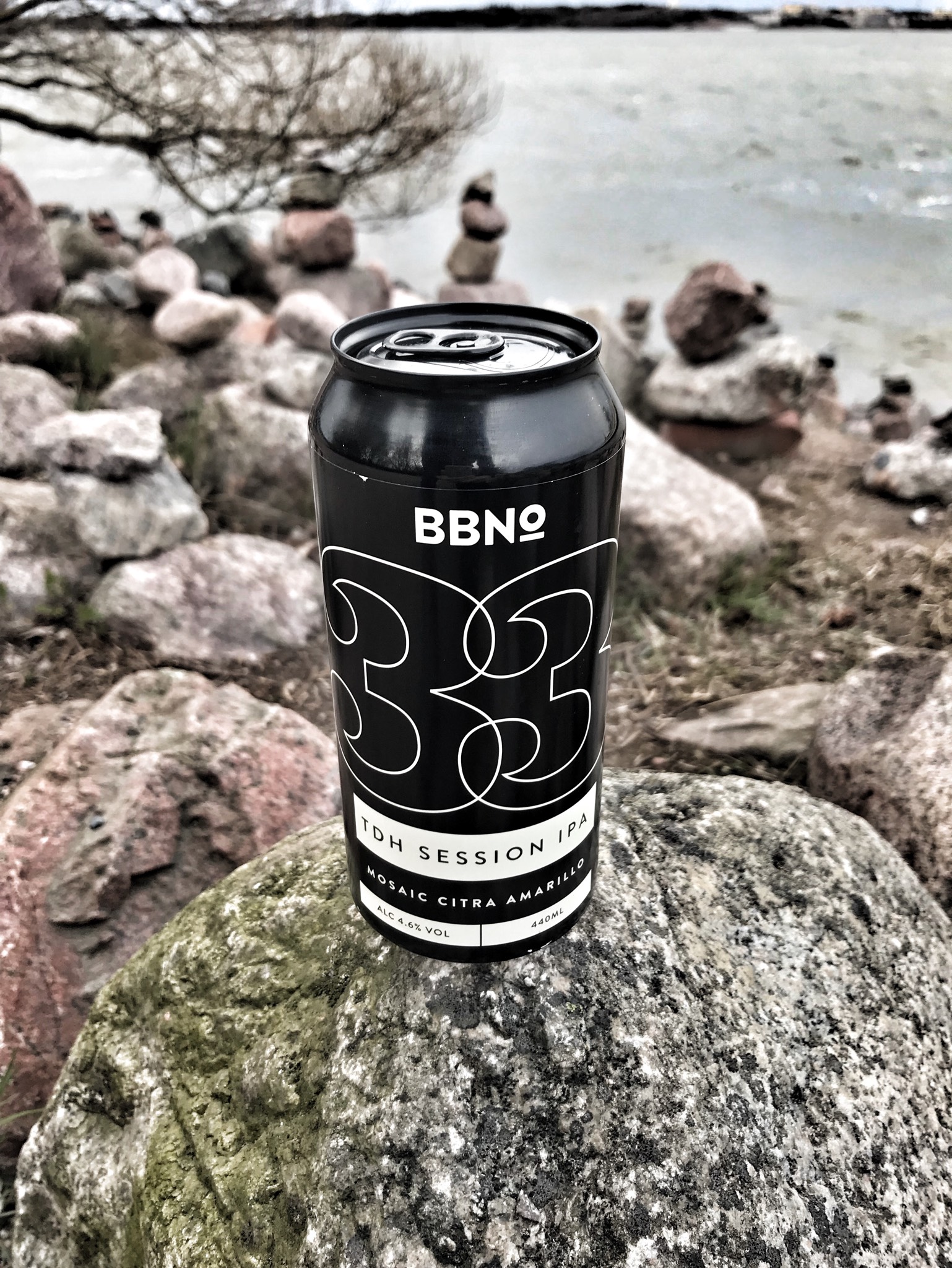 33 TDH Session IPA - Mosaic Citra Amarillo, England