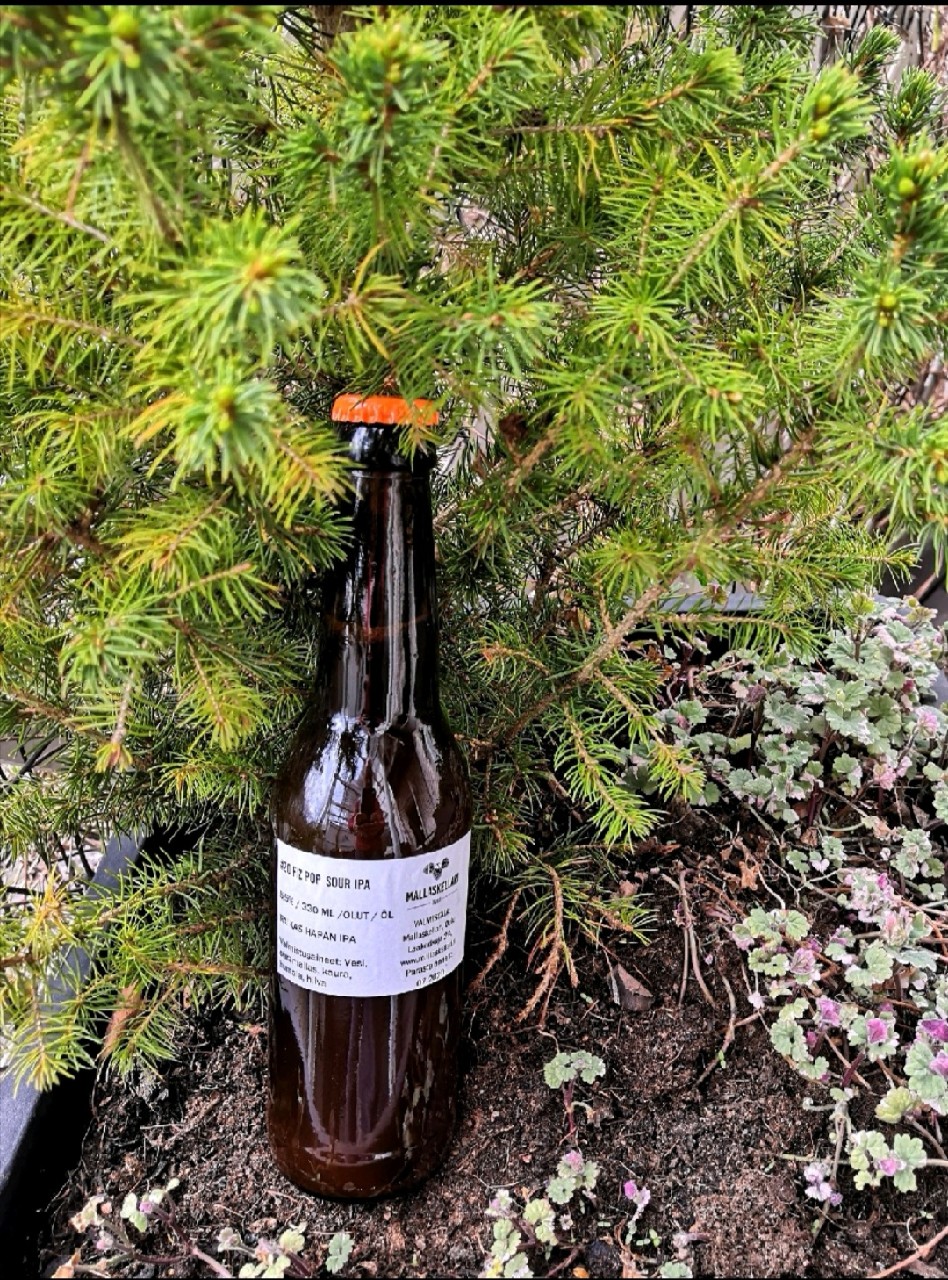 Fiz Pop Sour IPA, Finland