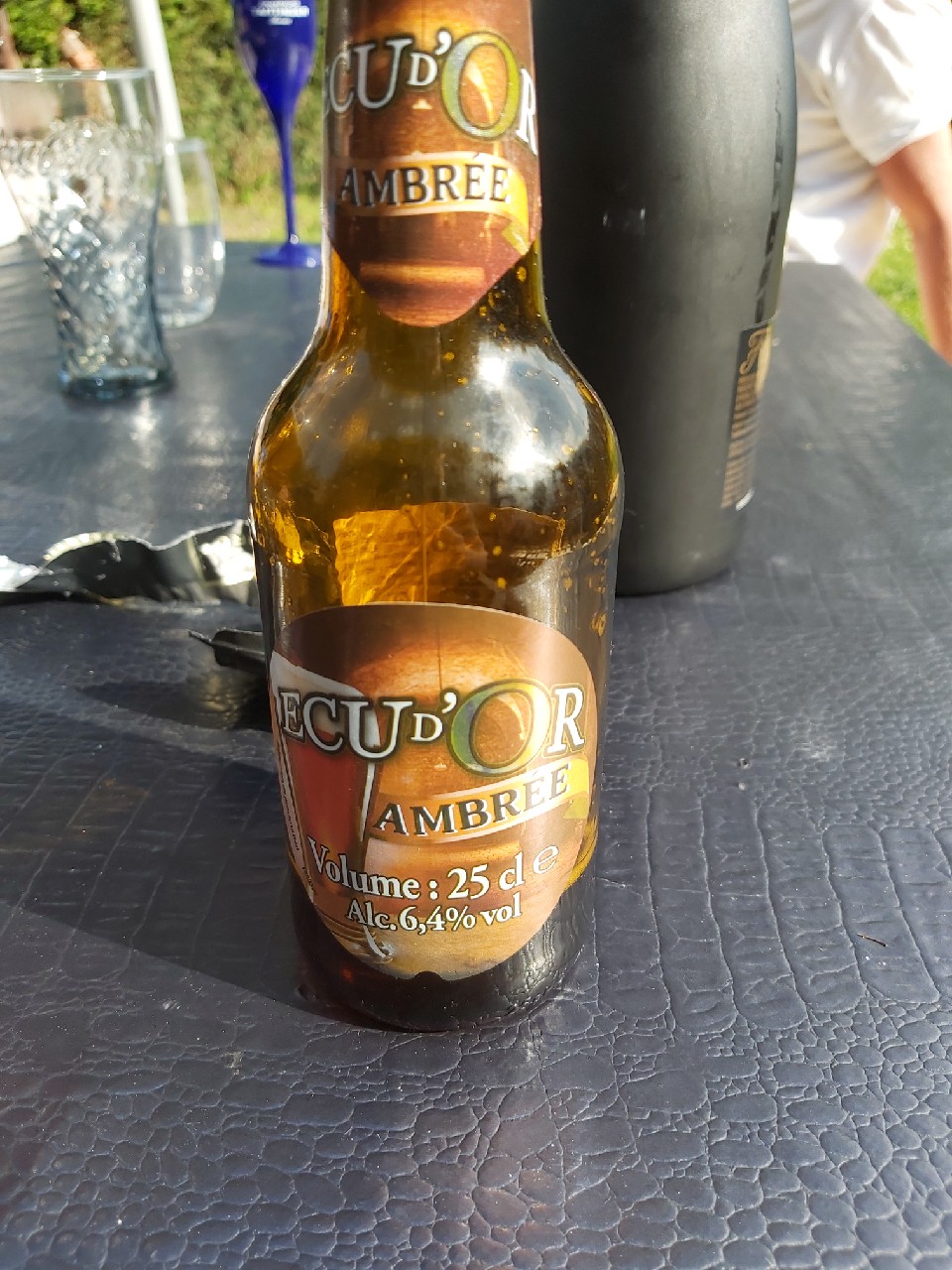 Ecu D'Or Ambrée, France