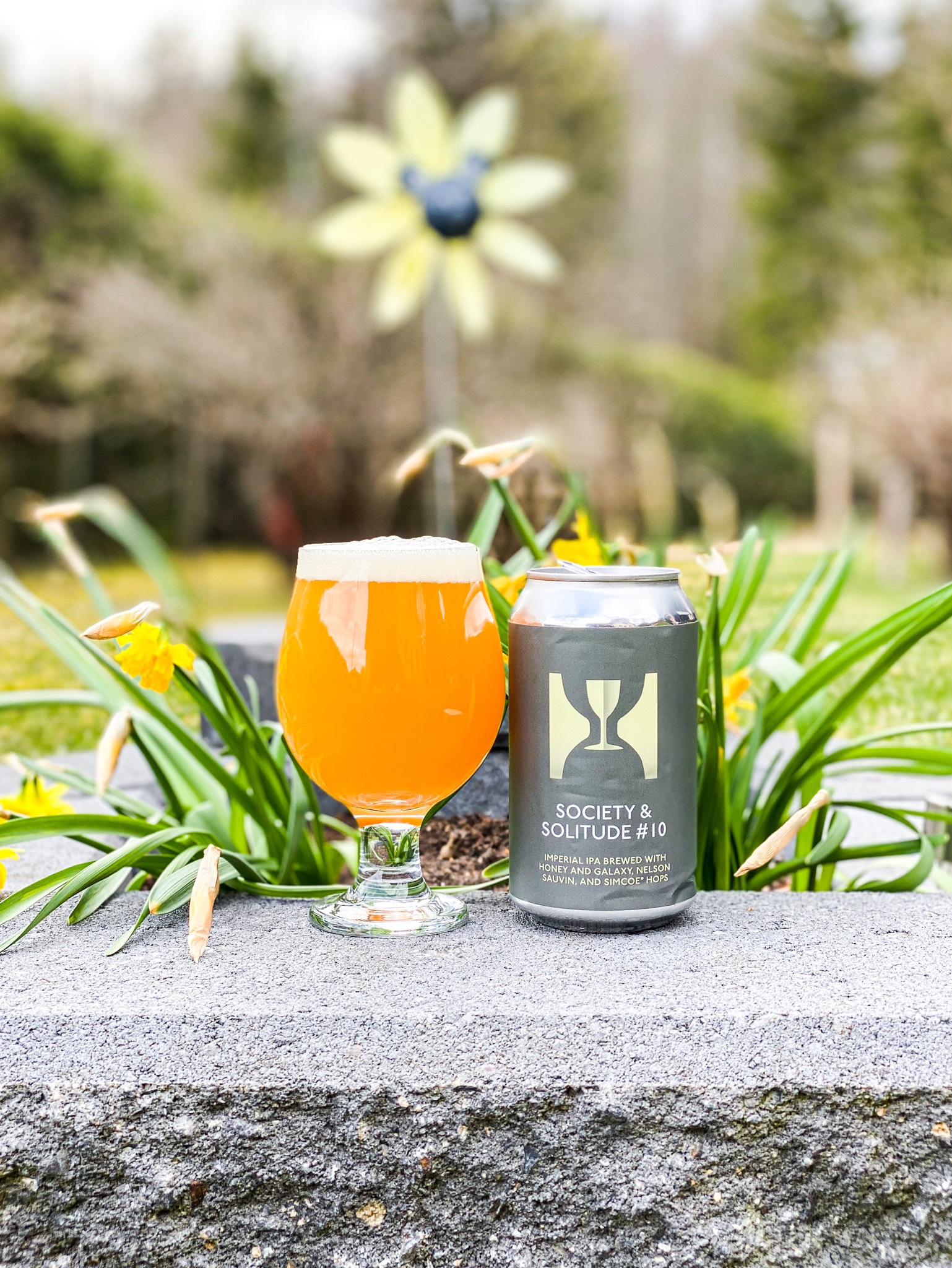 Society & Solitude #10, United States