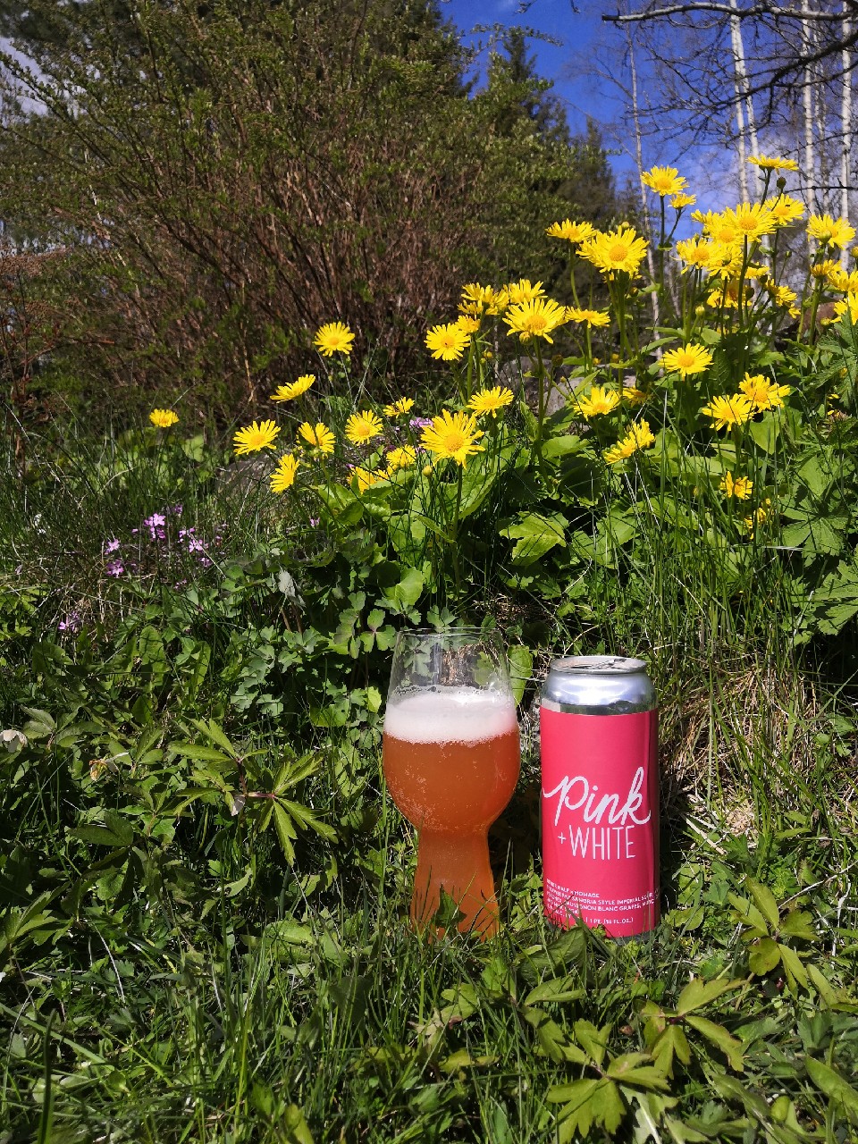 Pink + White (Pink Version), United States