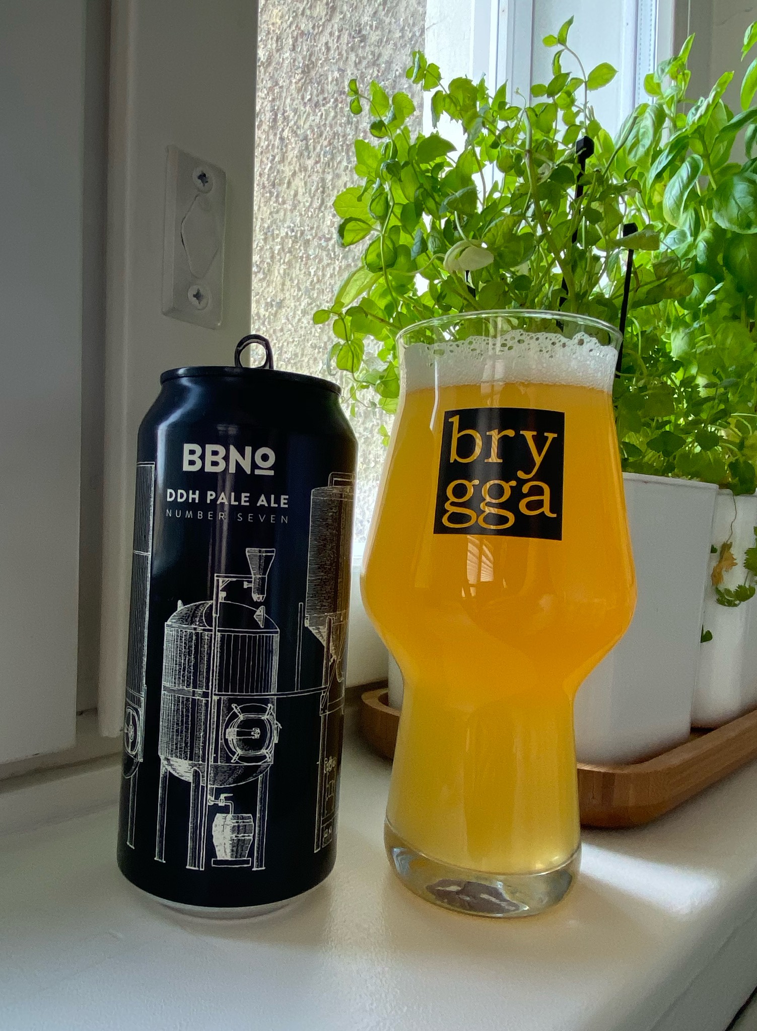 42 DDH Pale Ale - Number Seven, England