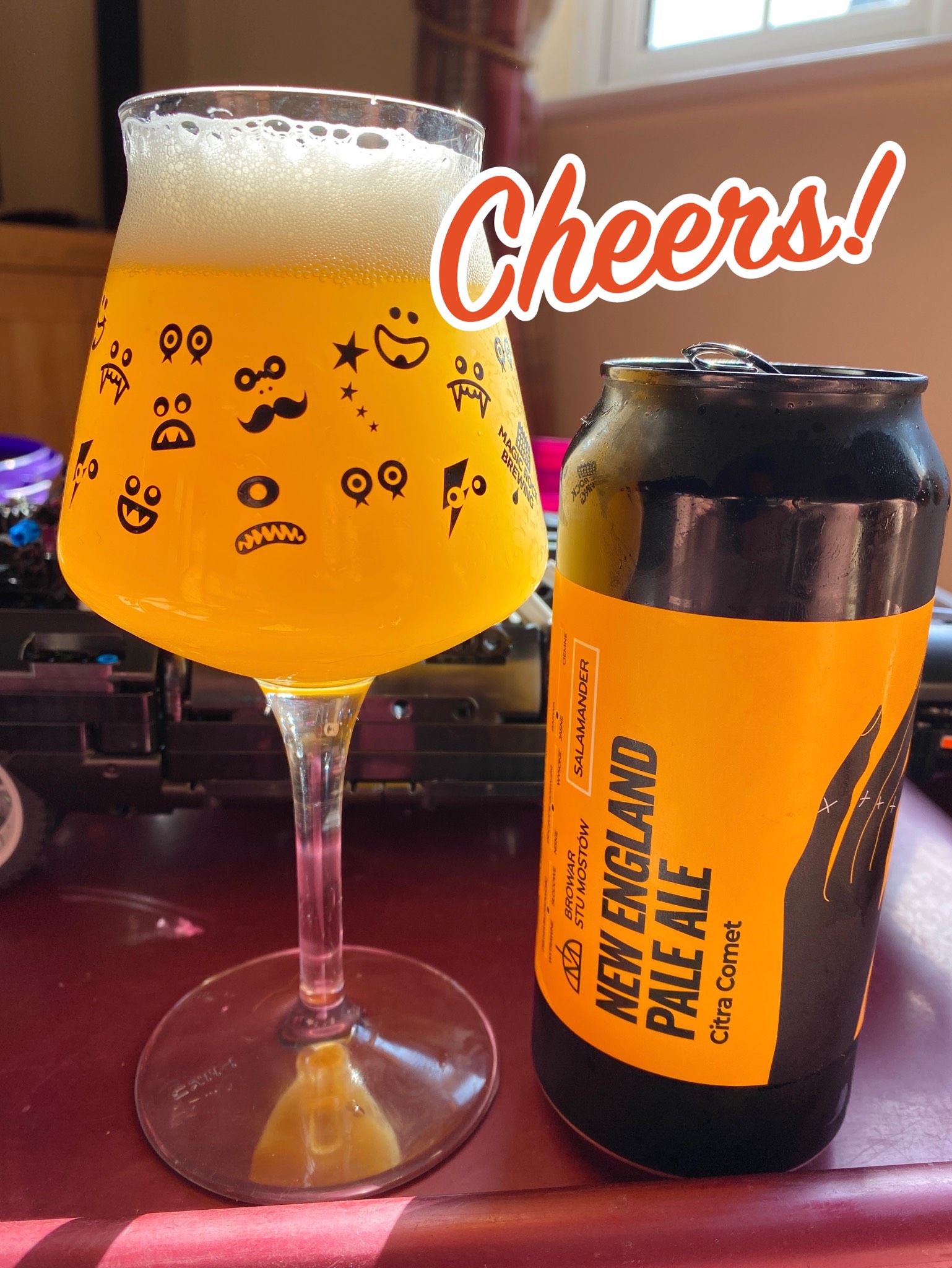 Salamander New England Pale Ale Citra Comet, Poland