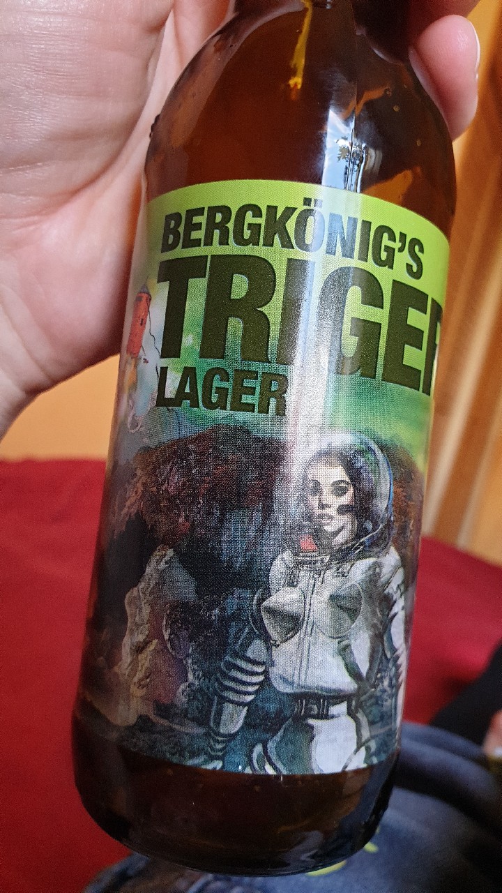 Bergkönig's Triger Lager, Slovenia