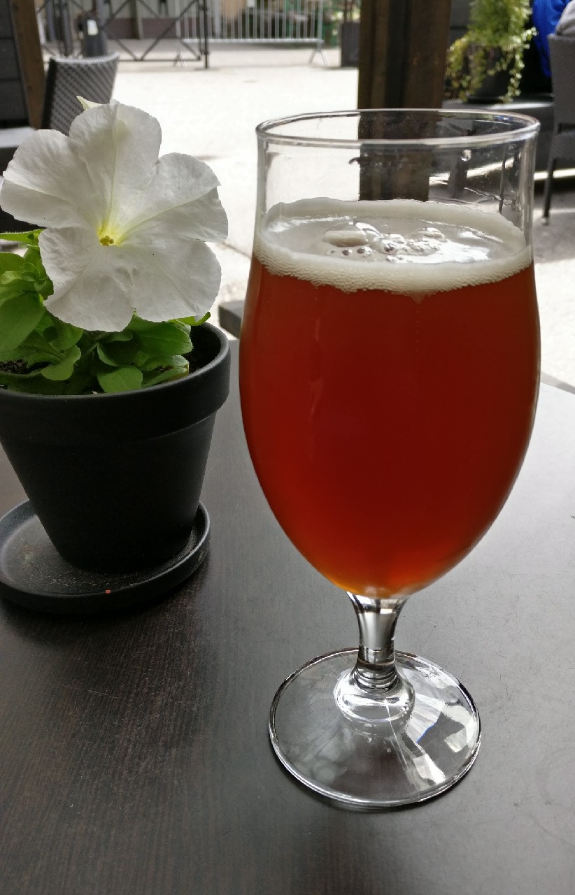 New Zealand Blackberry IPA, Finland