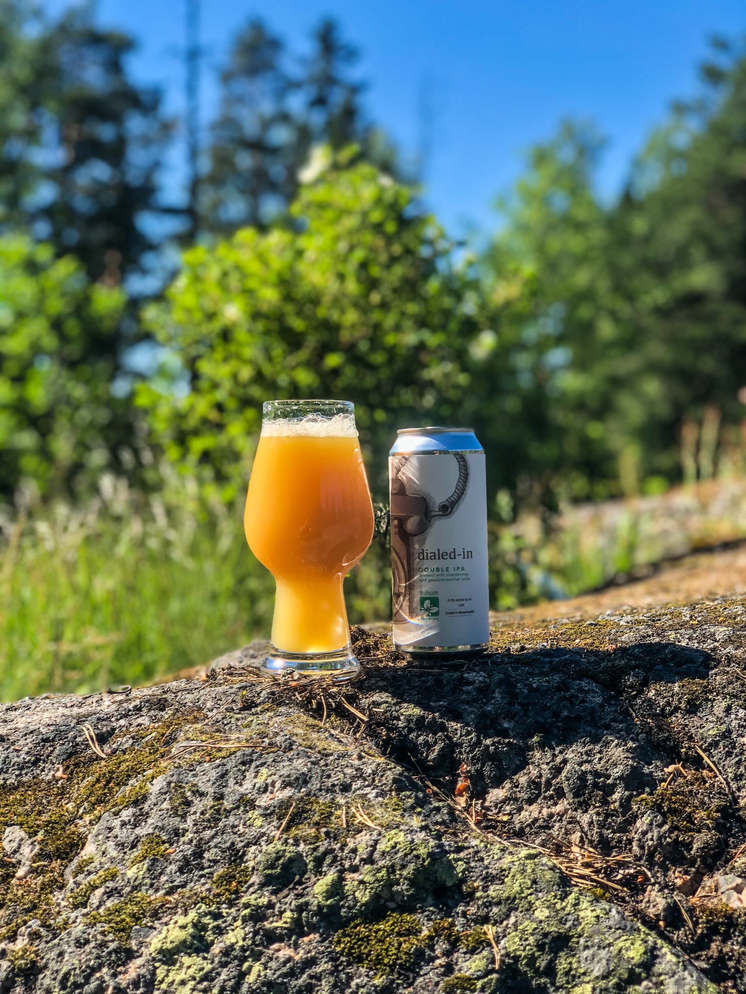 Dialed-in (w/ Chardonnay & Gewürztraminer Juice), United States