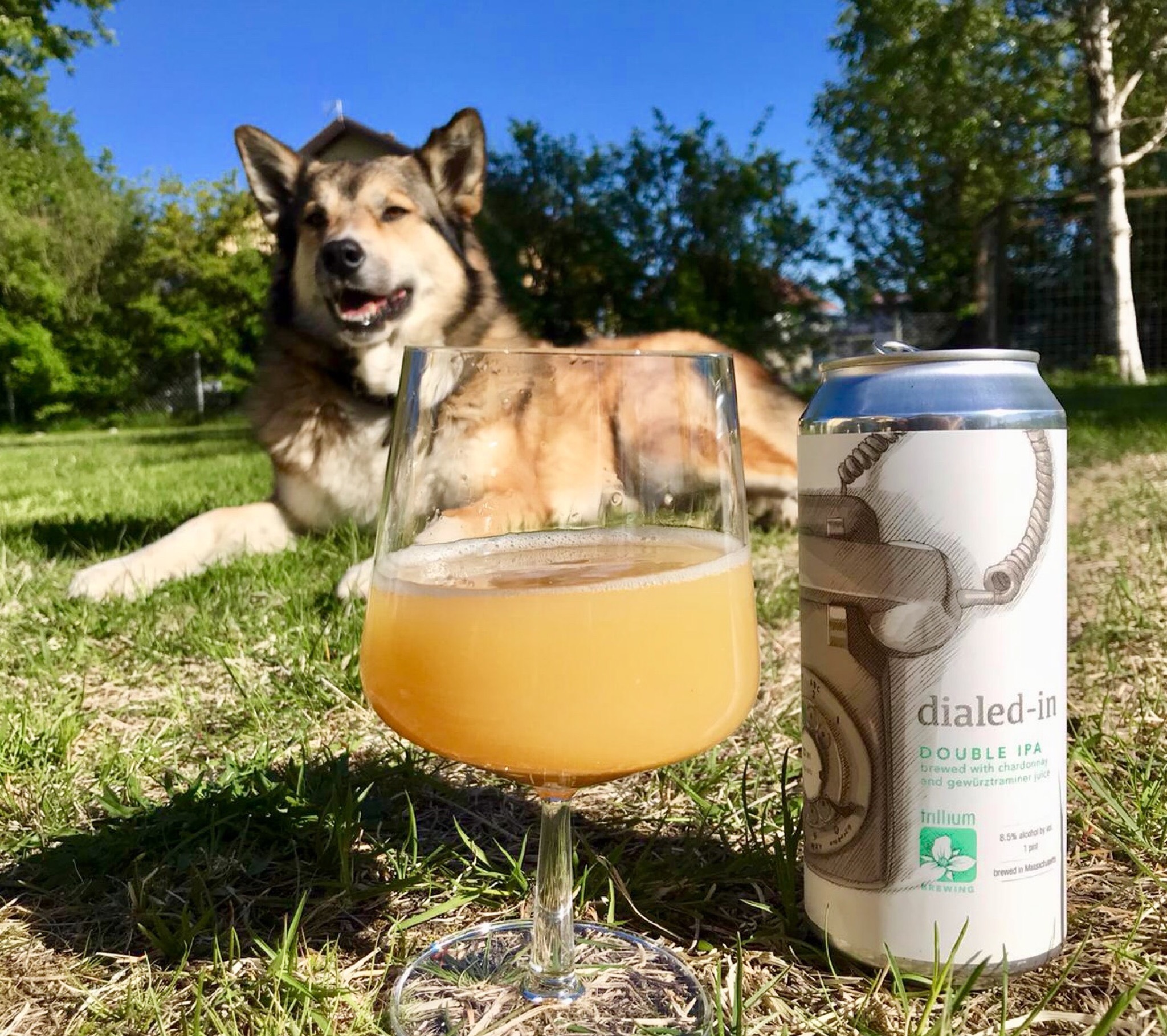 Dialed-in (w/ Chardonnay & Gewürztraminer Juice), United States