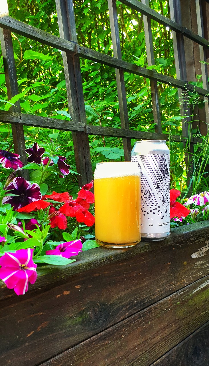 Lost All Reason: New Zealand Edition, Denmark