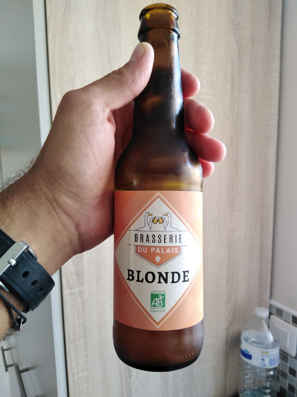Palais Blonde, France