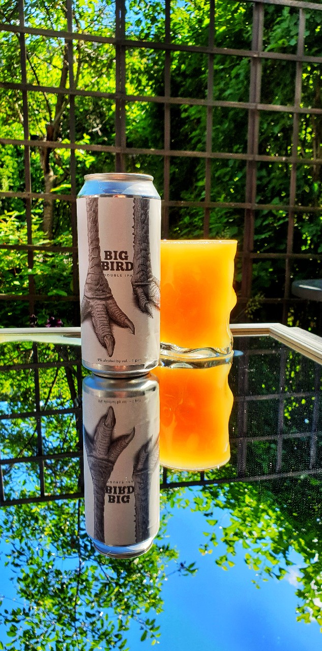 Big Bird (2020), United States