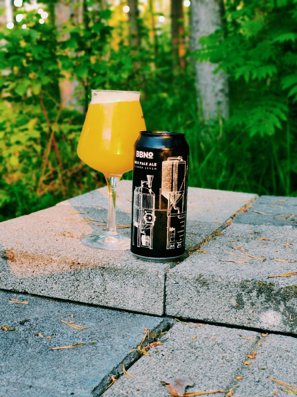 42 DDH Pale Ale - Number Seven, England