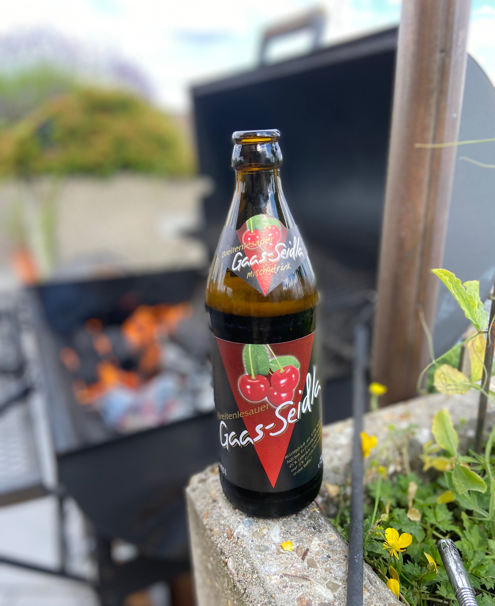 Gaas-Zwergla, Germany