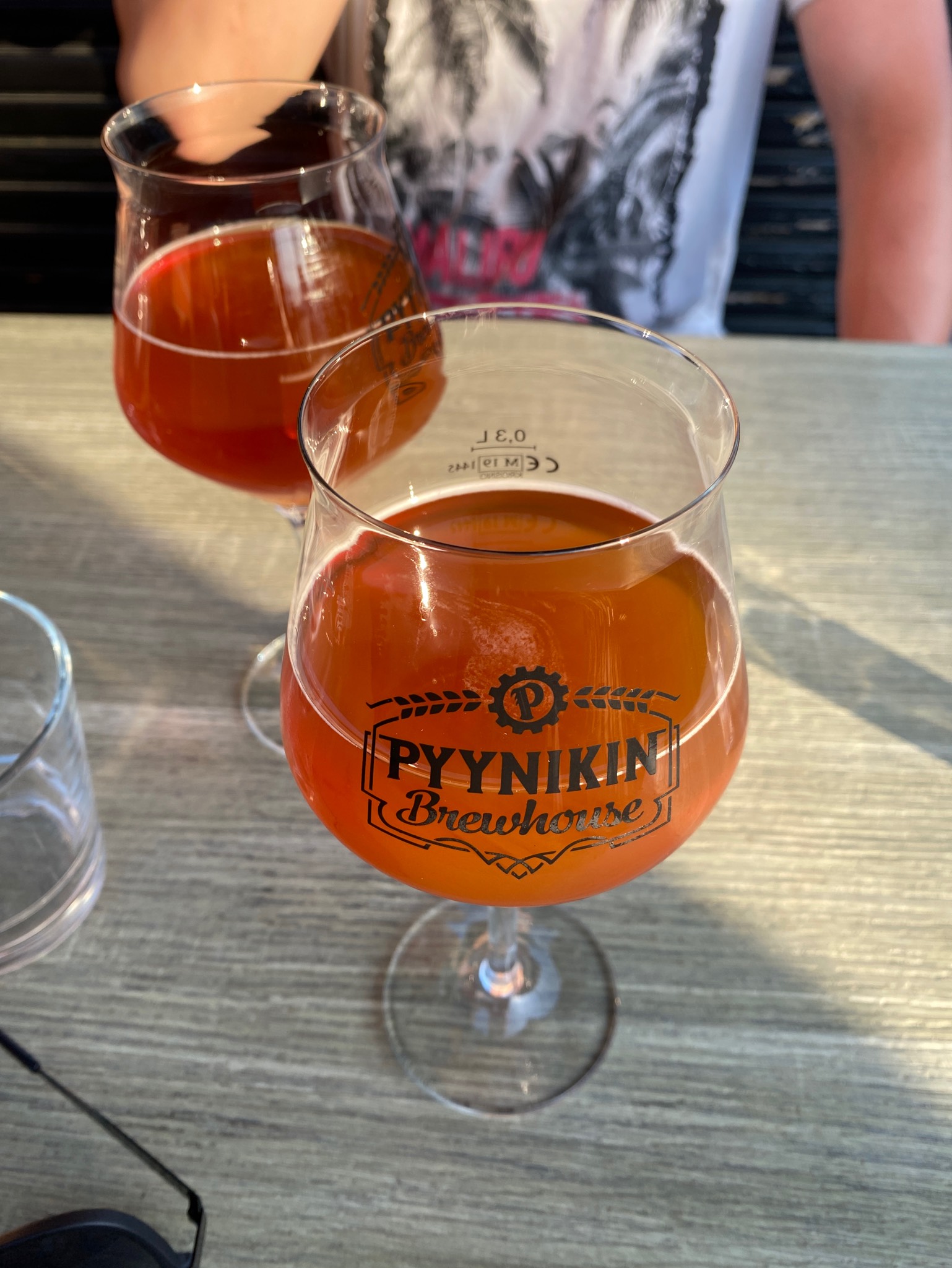 Dipaton Tammikuu, Finland