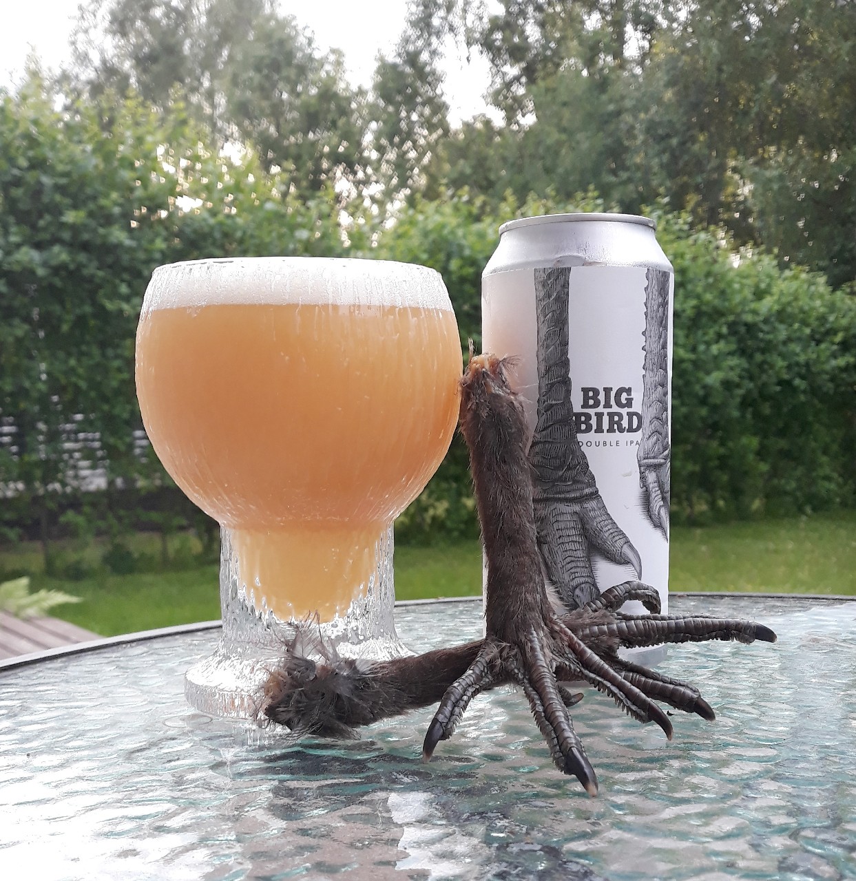 Big Bird (2020), United States