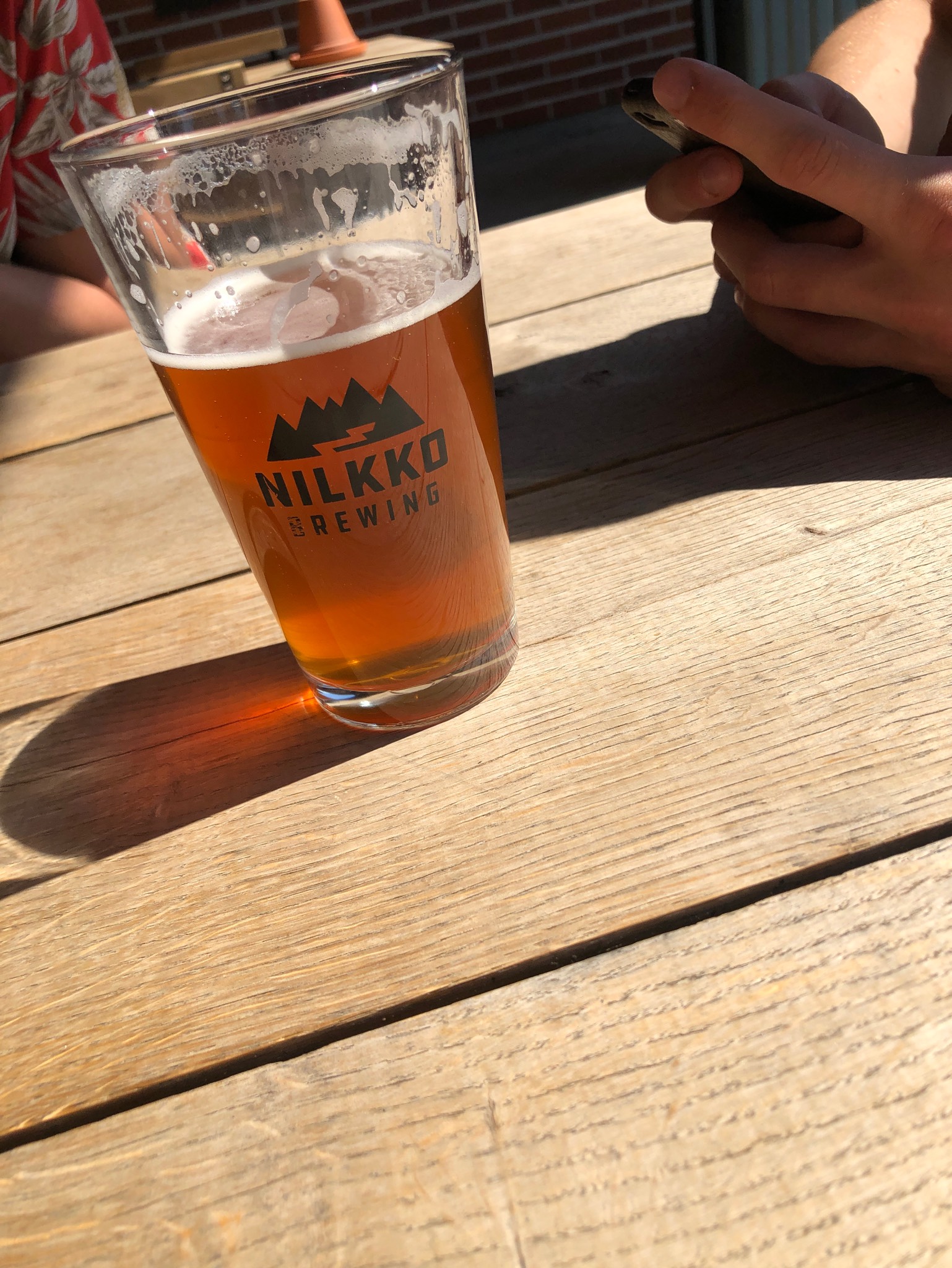 Phil Anselmo Ipa, Finland