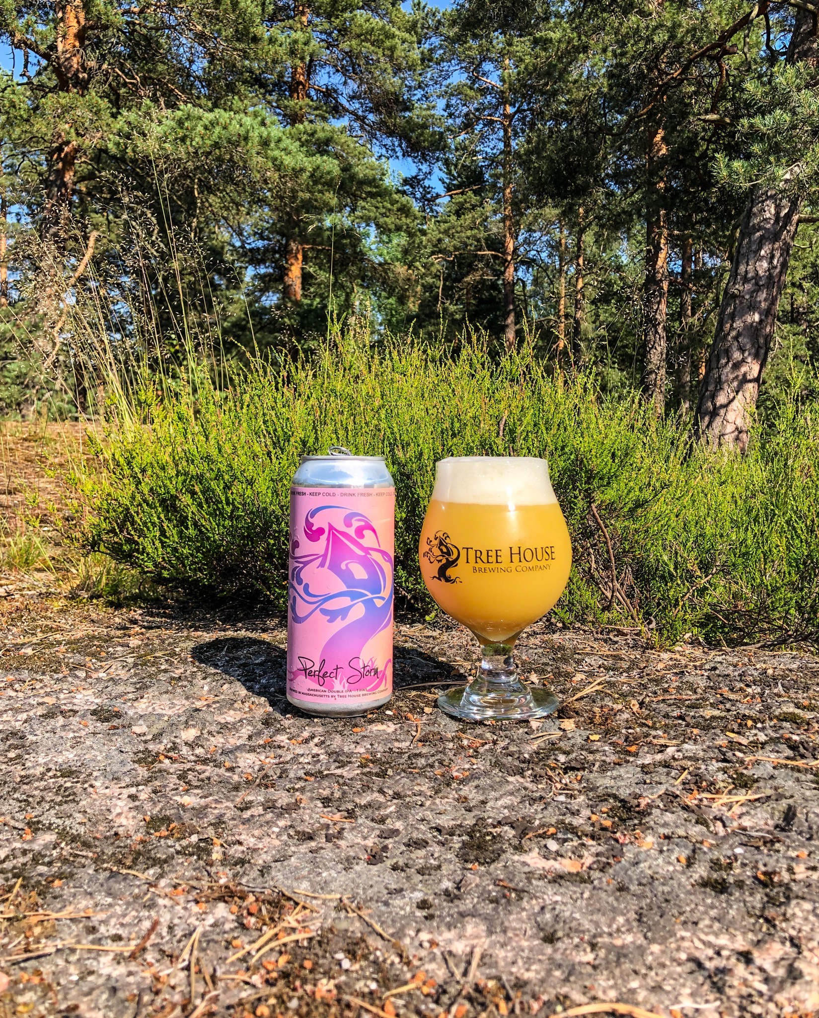 Perfect Storm, United States