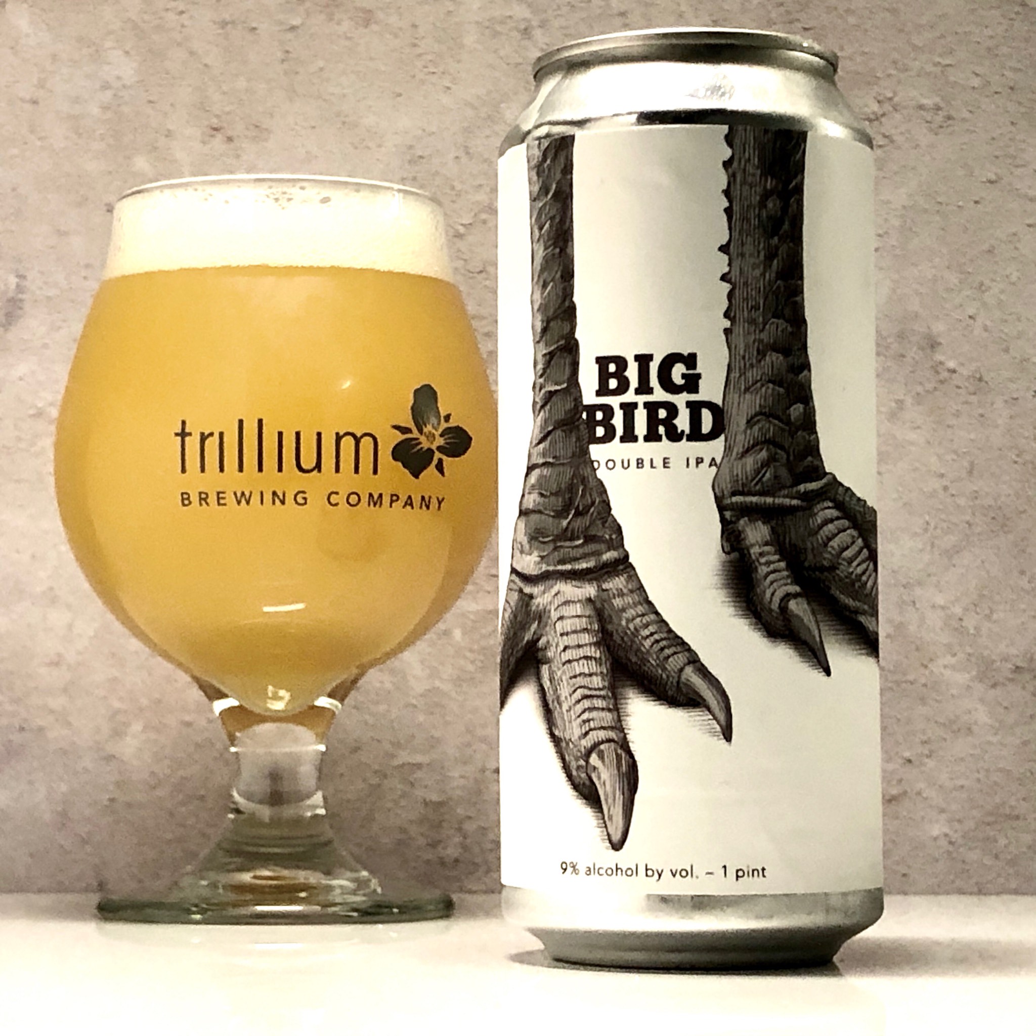 Big Bird (2020), United States