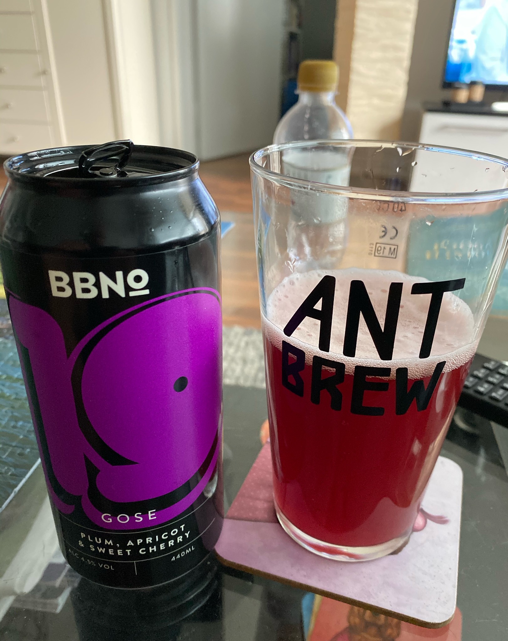 19 Gose - Plum, Apricot & Sweet Cherry, England