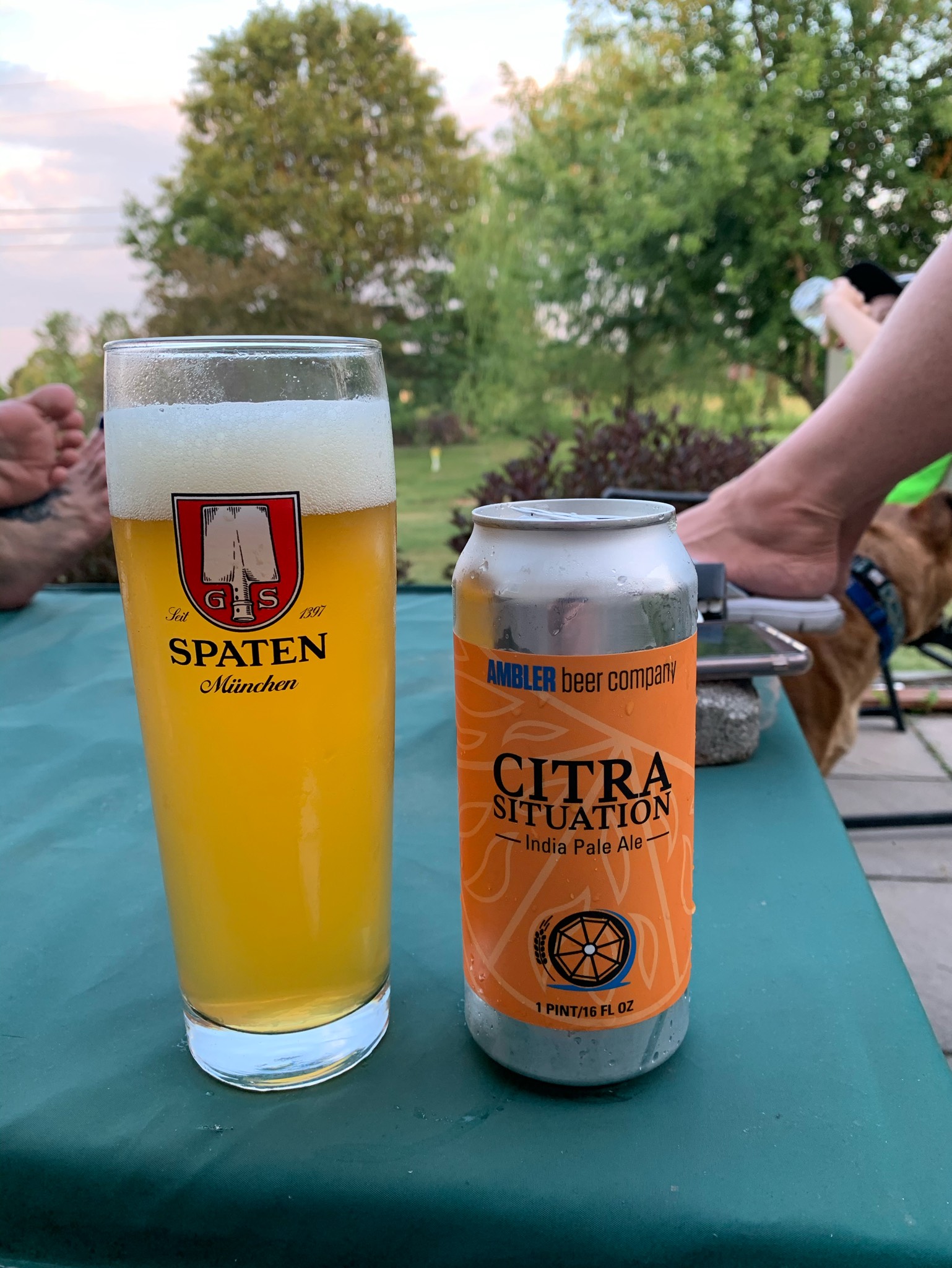 Citra Situation, United States