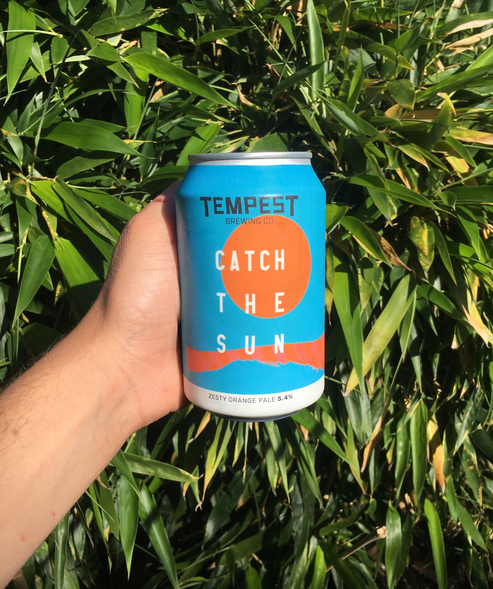 Catch The Sun, Scotland