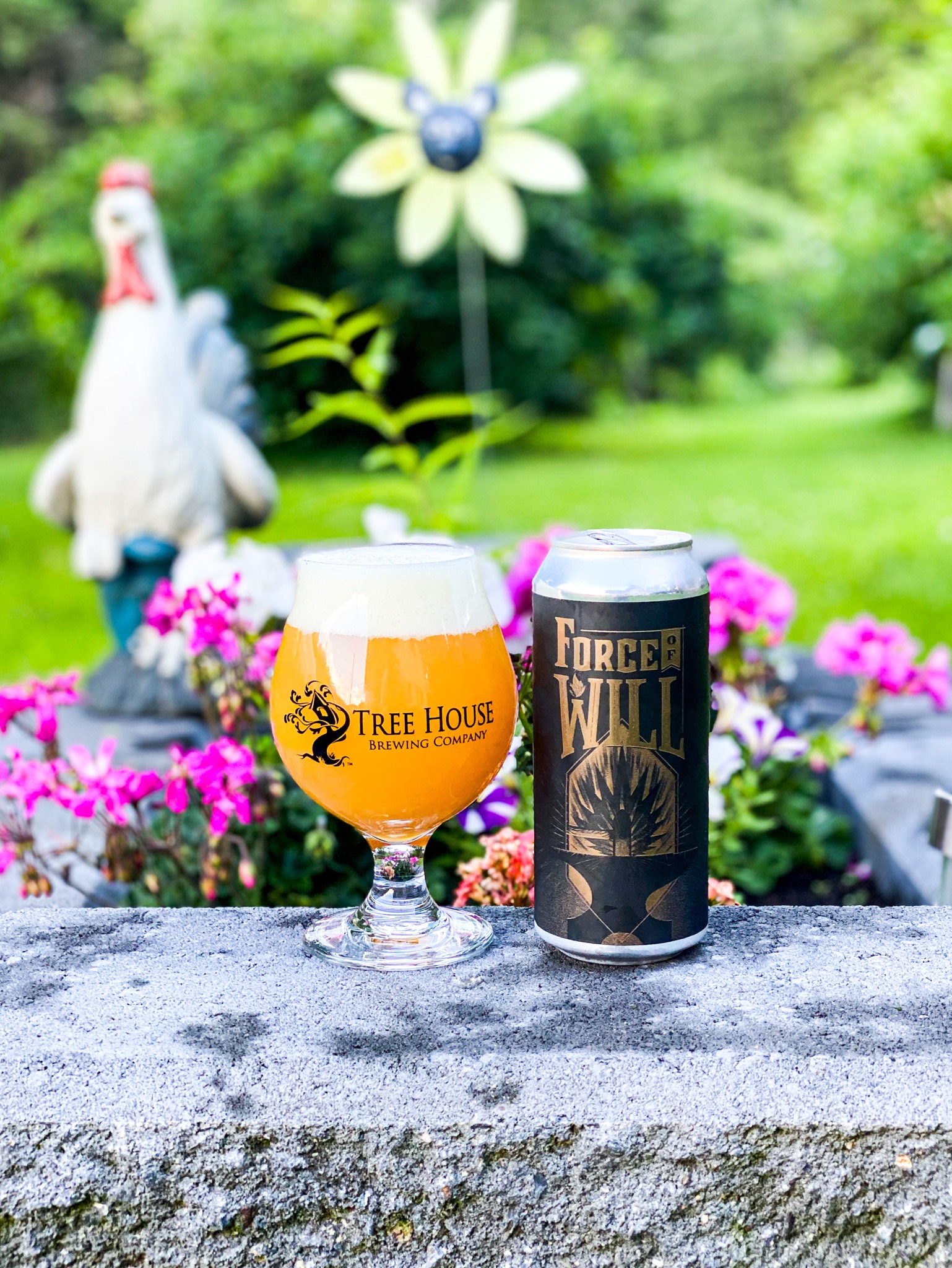 Force of Will, United States