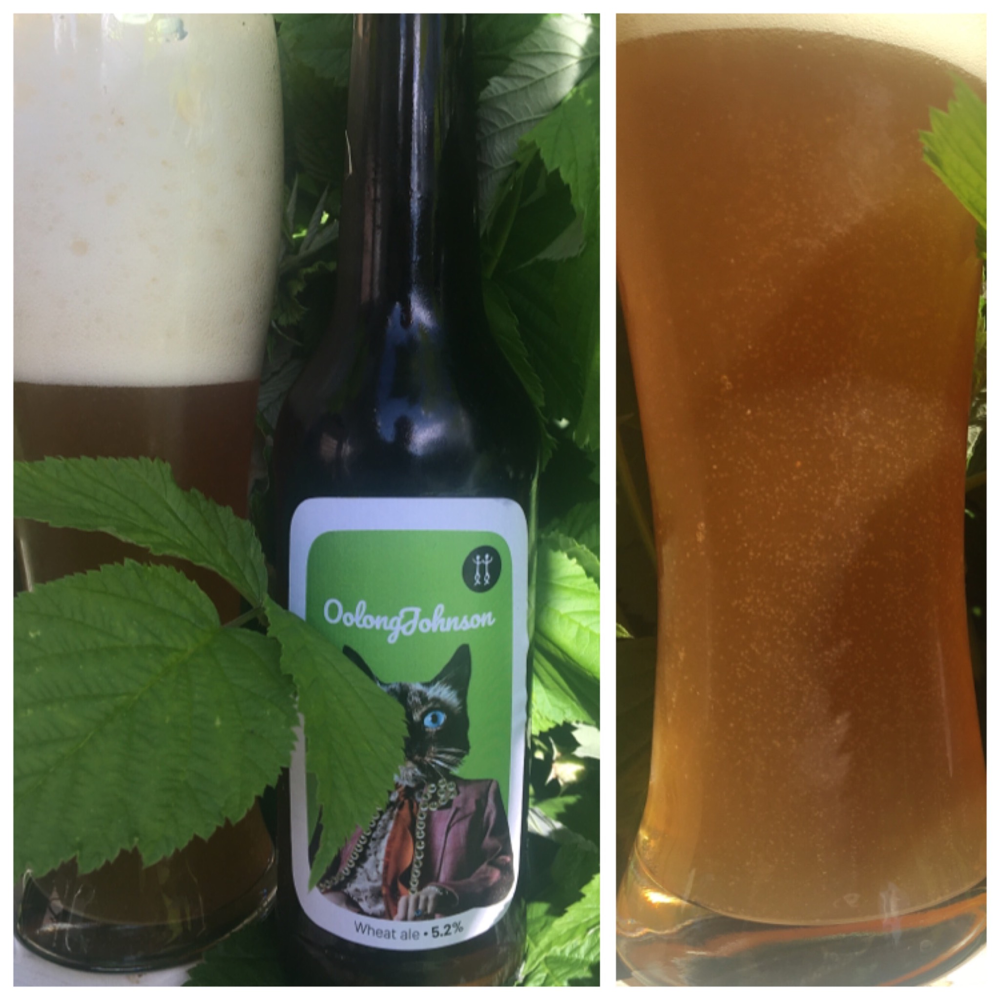 Oolong Johnson, Finland