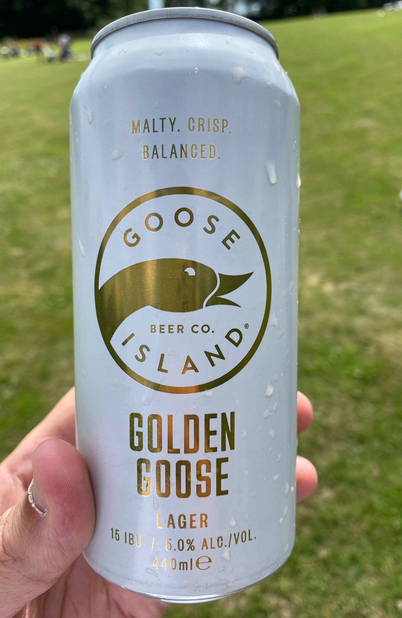 Golden Goose Lager, United States