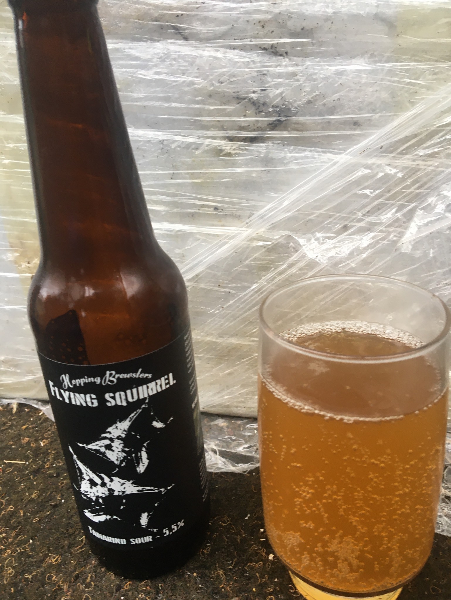 Flying Squirrel, Finland