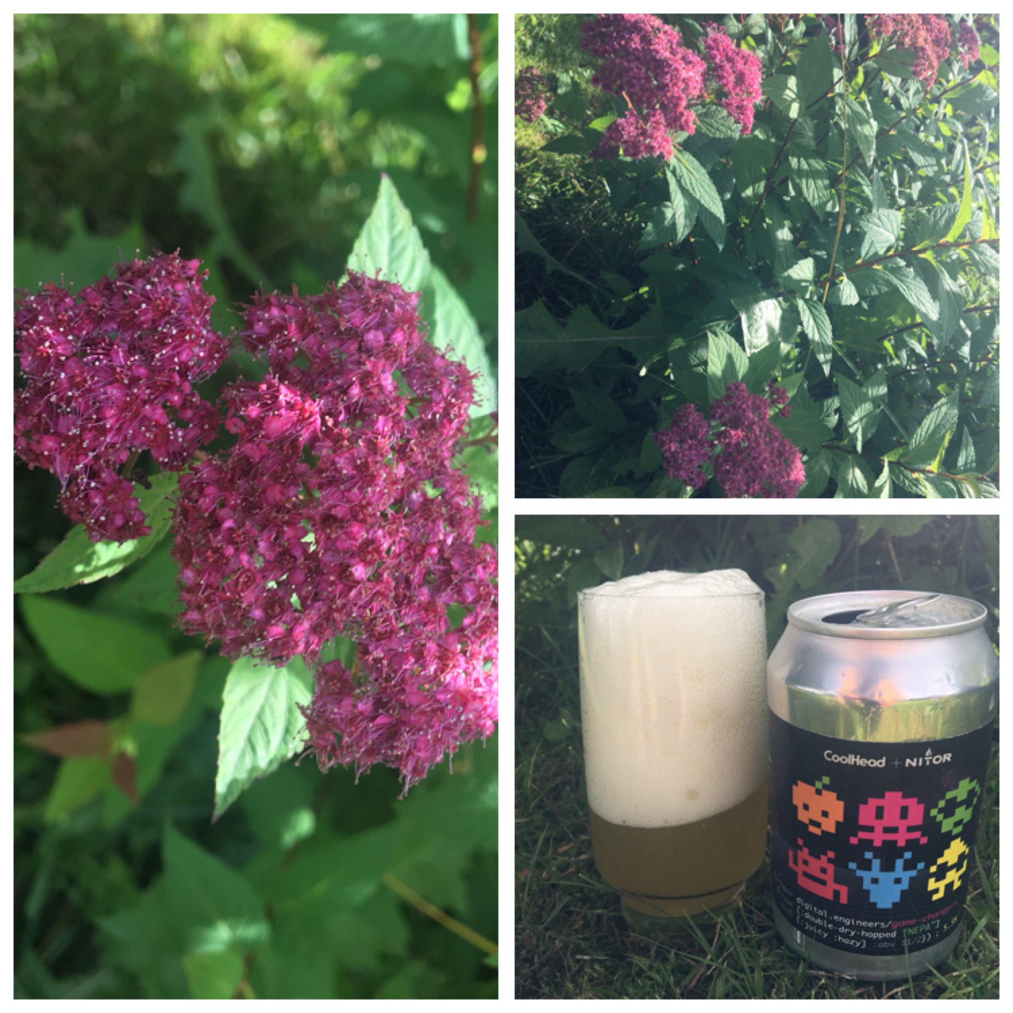 Digital Engineers Game Changers, Finland