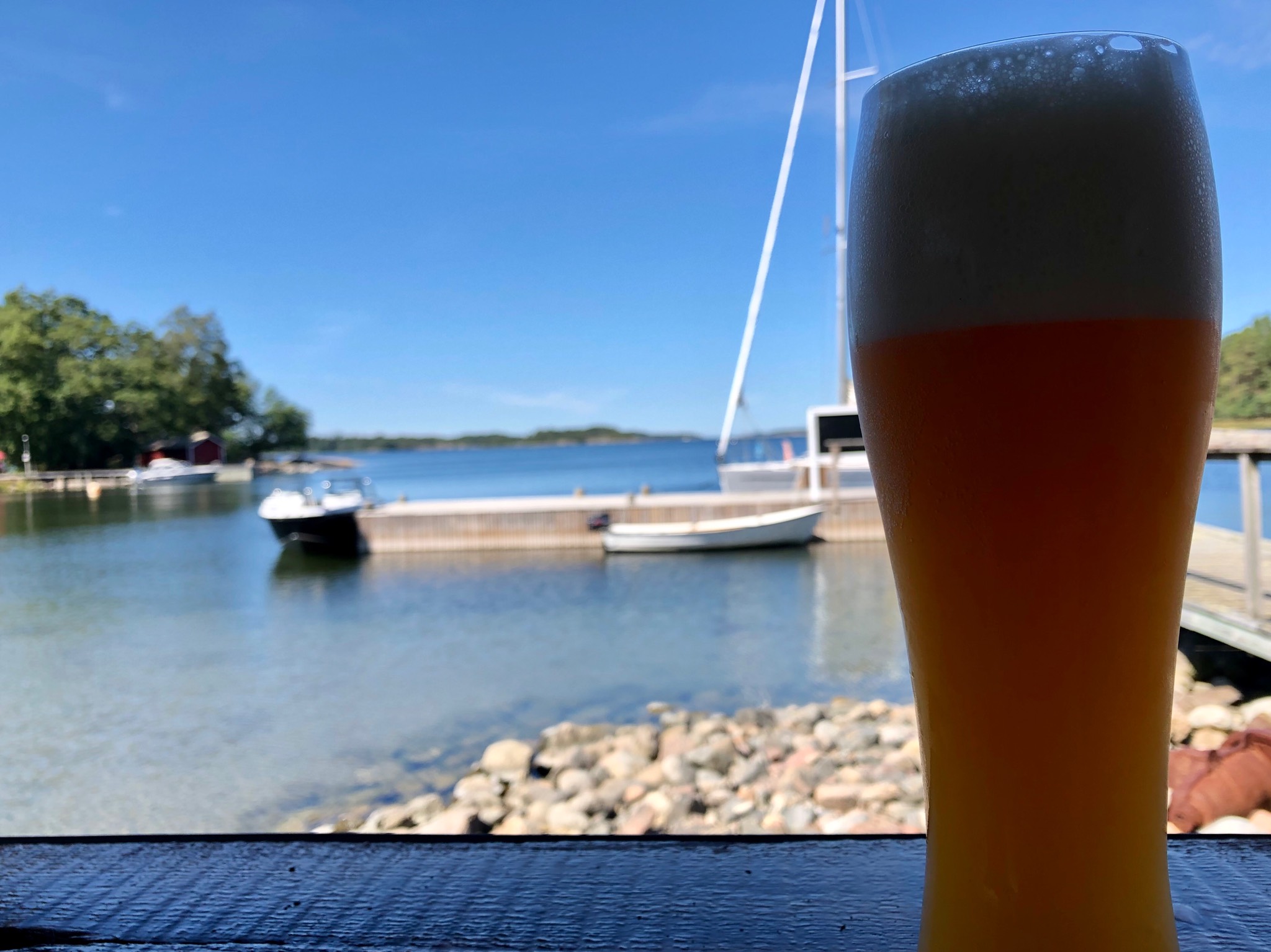 Viking wheat, Finland