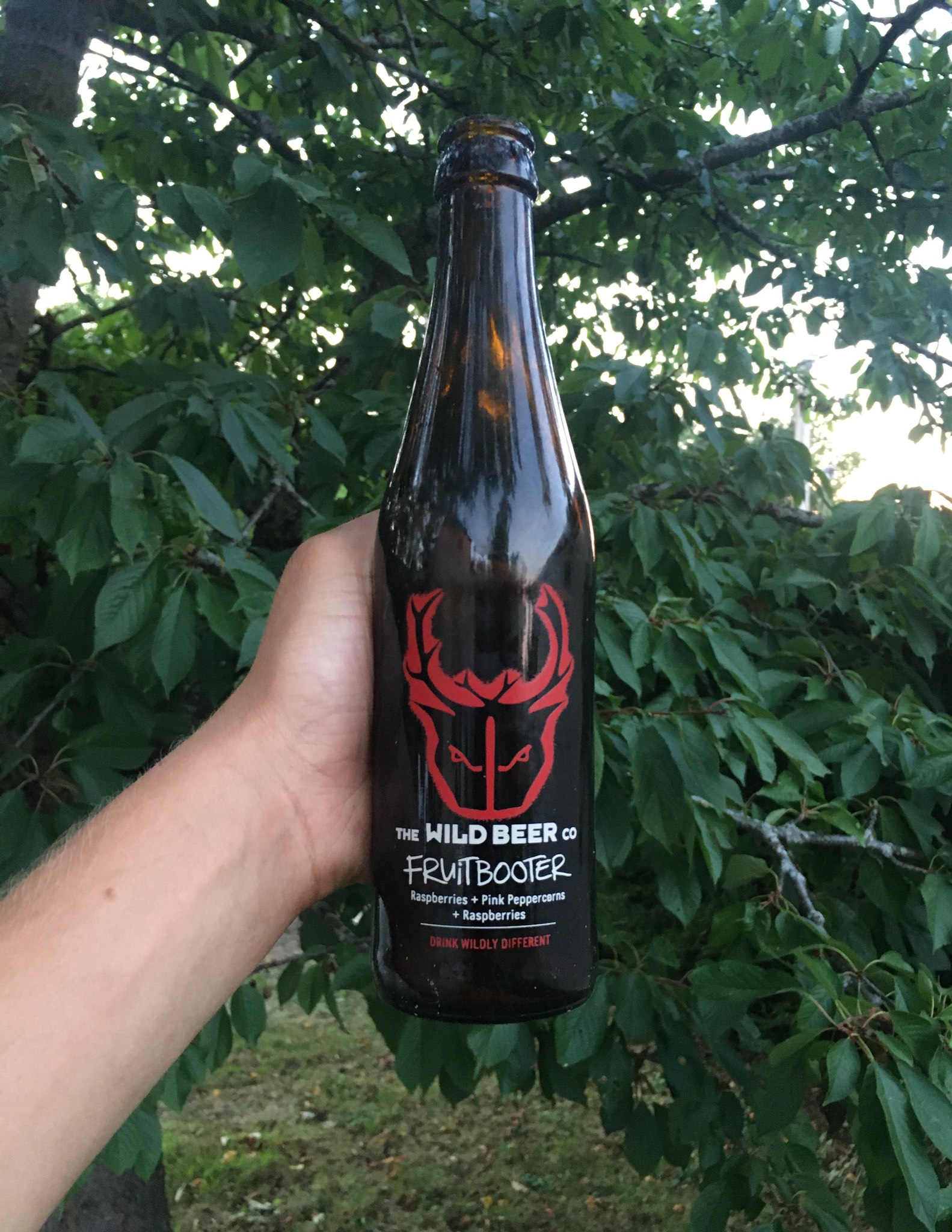 Fruit Booter, England