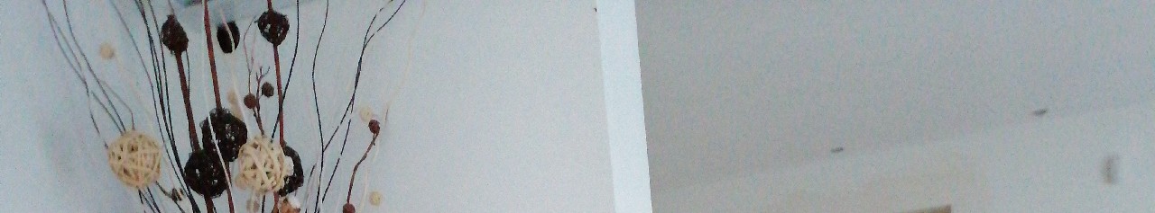 Dreams of Oblivion, United States