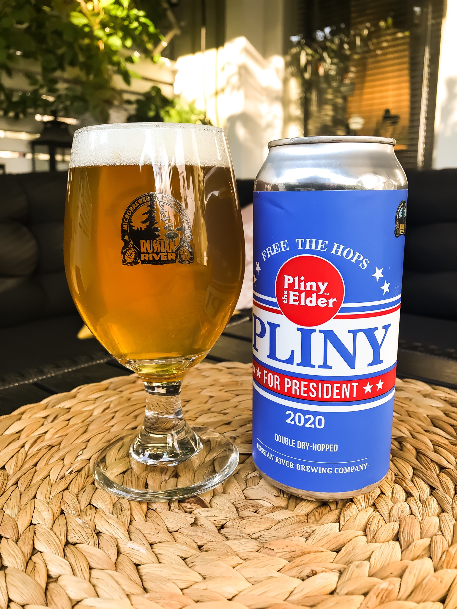 Pliny for President, United States