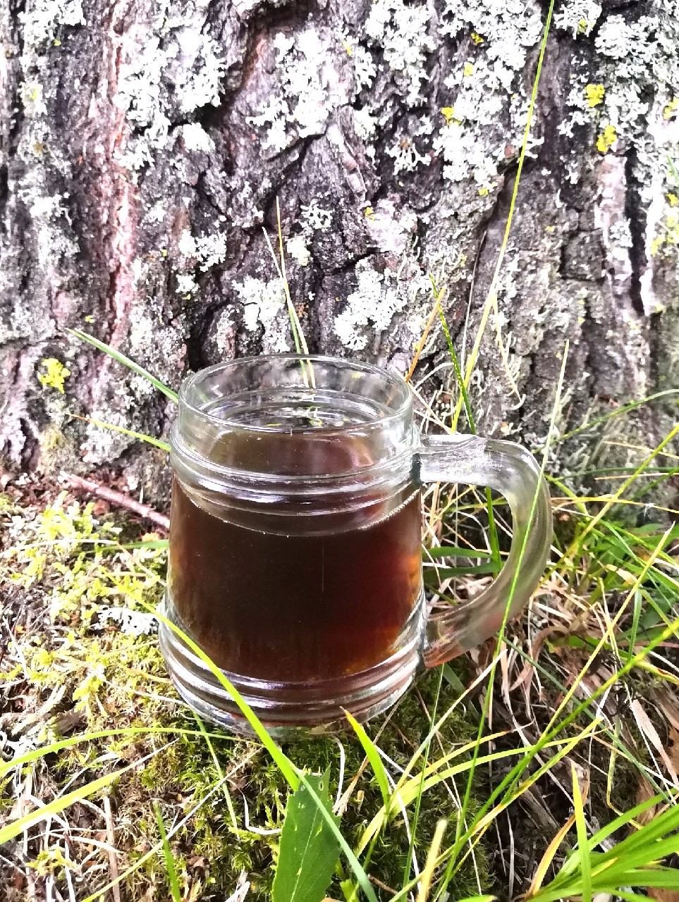 Magnetic Deviation, Finland