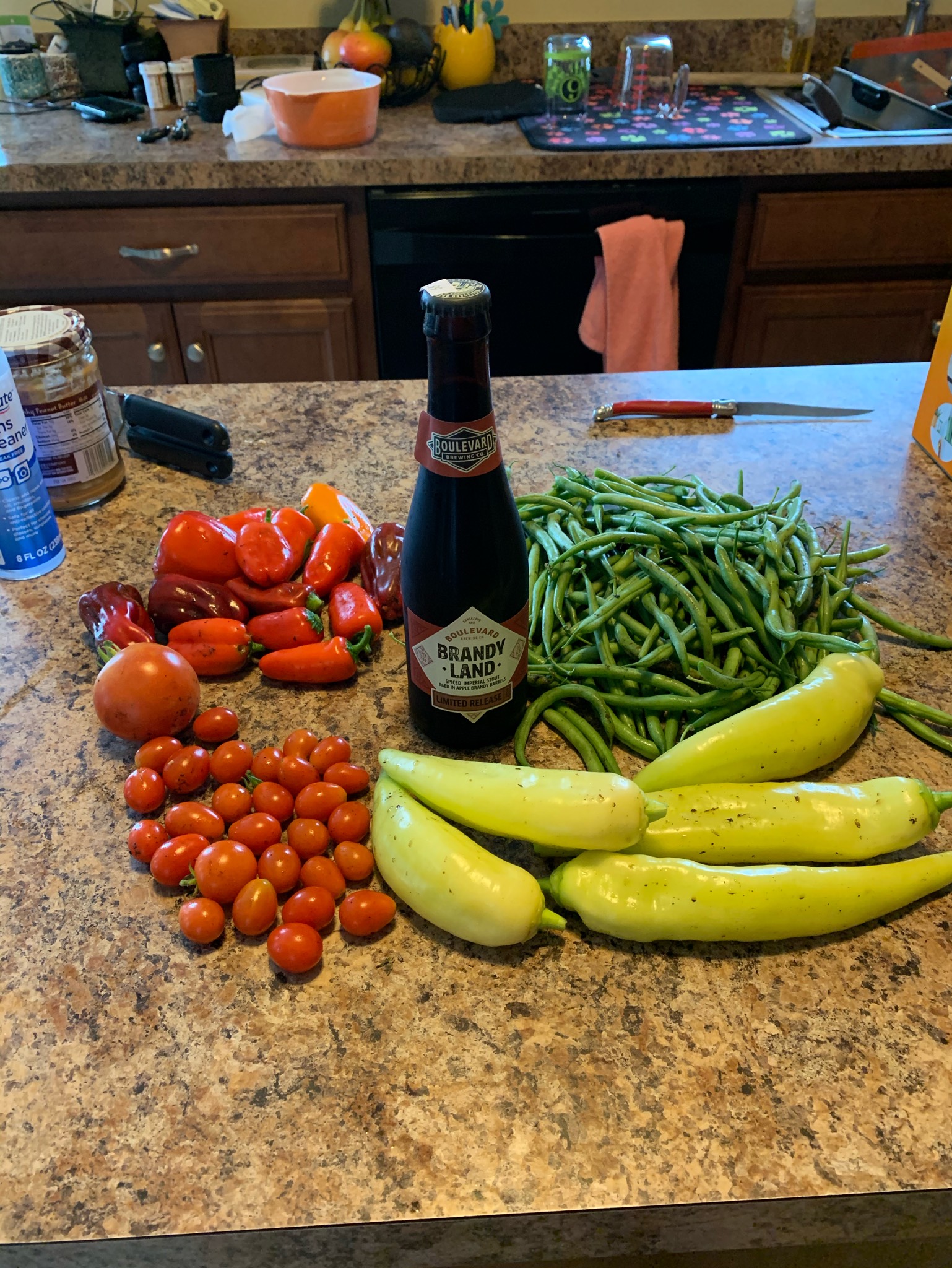 Brandy Land, United States