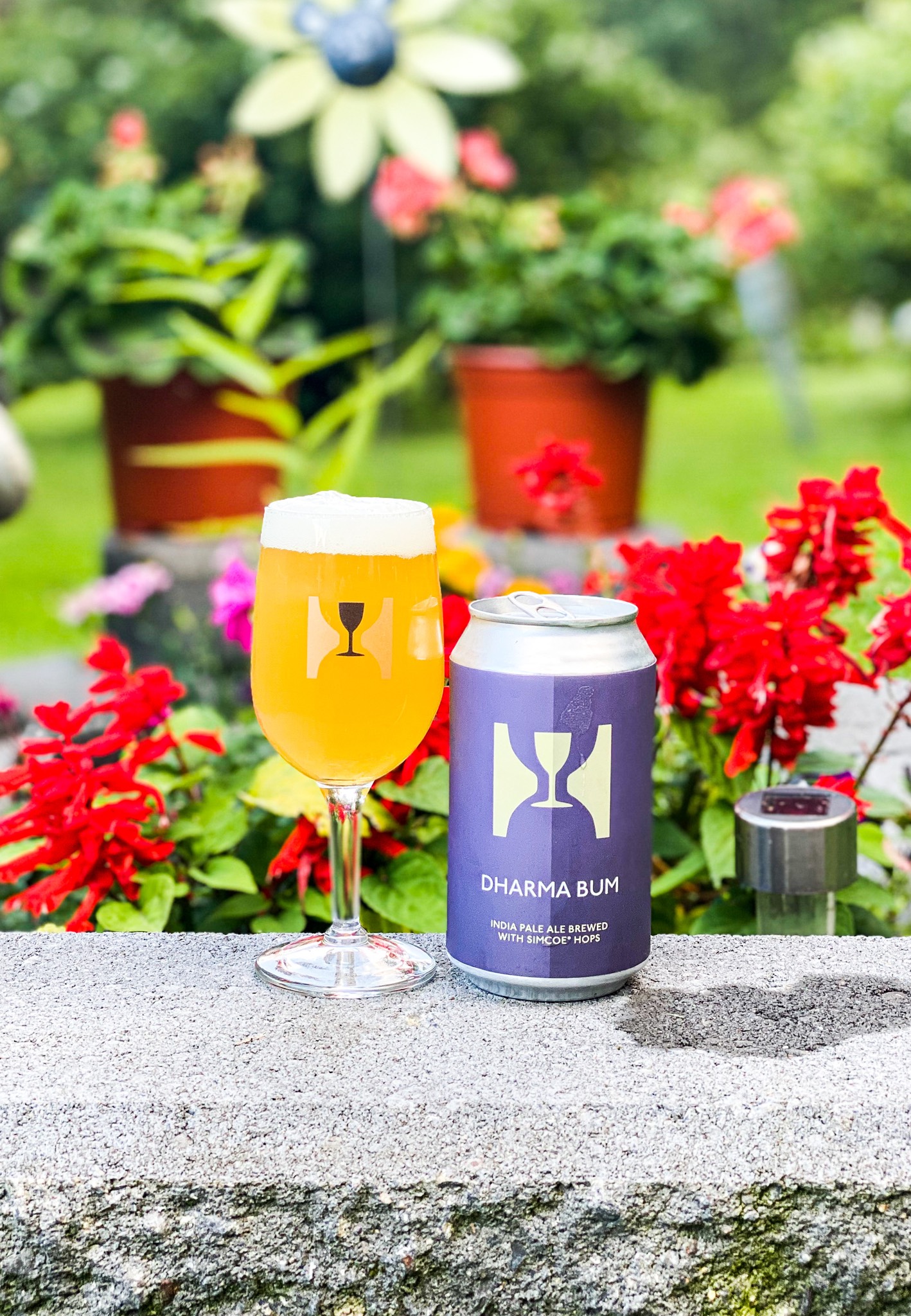 Dharma Bum, United States