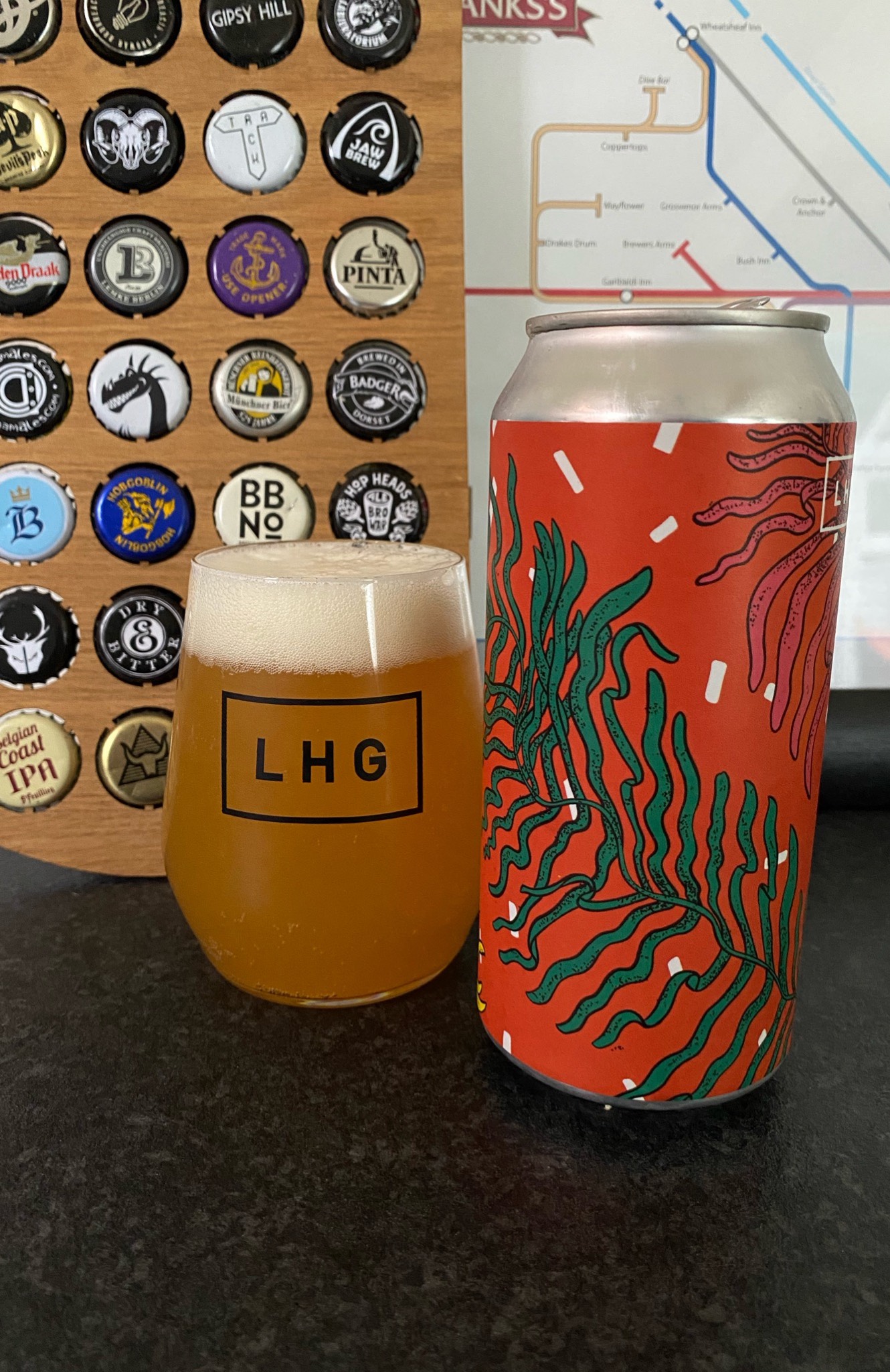 Fossil & Fern, England