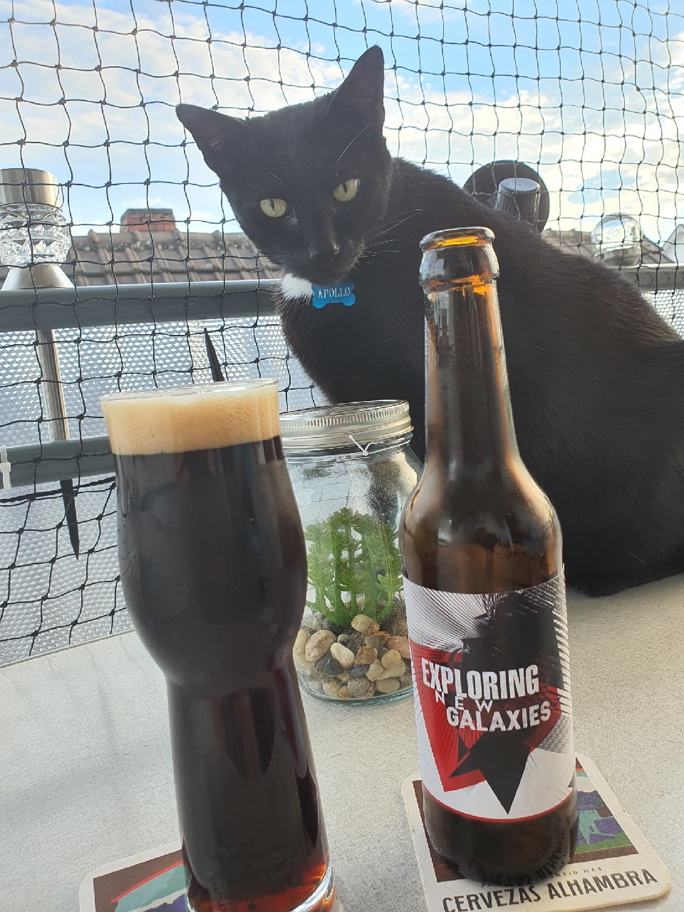 Exploring New Galaxies, Germany